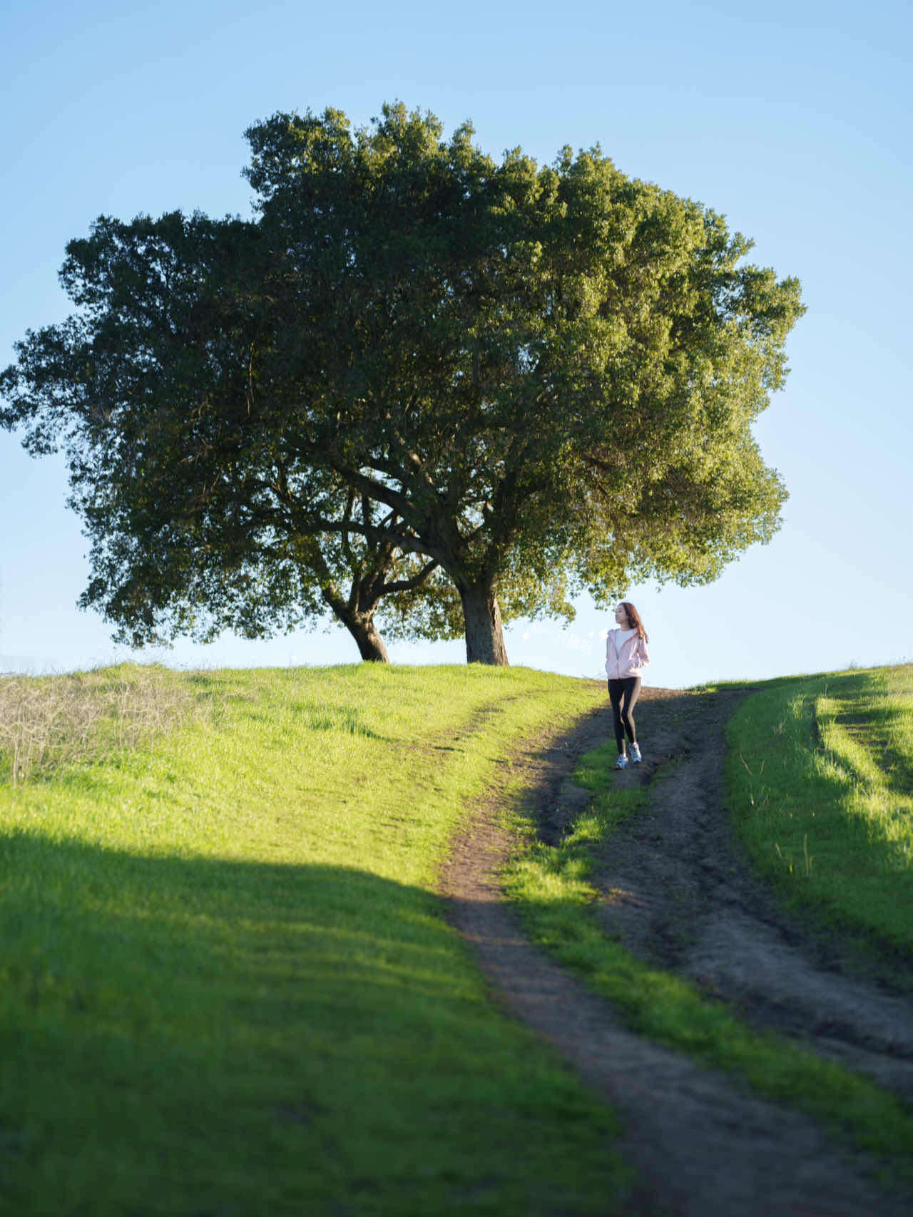 Bay Area Hiking: Discover a Mini Switzerland with Less Crowds
