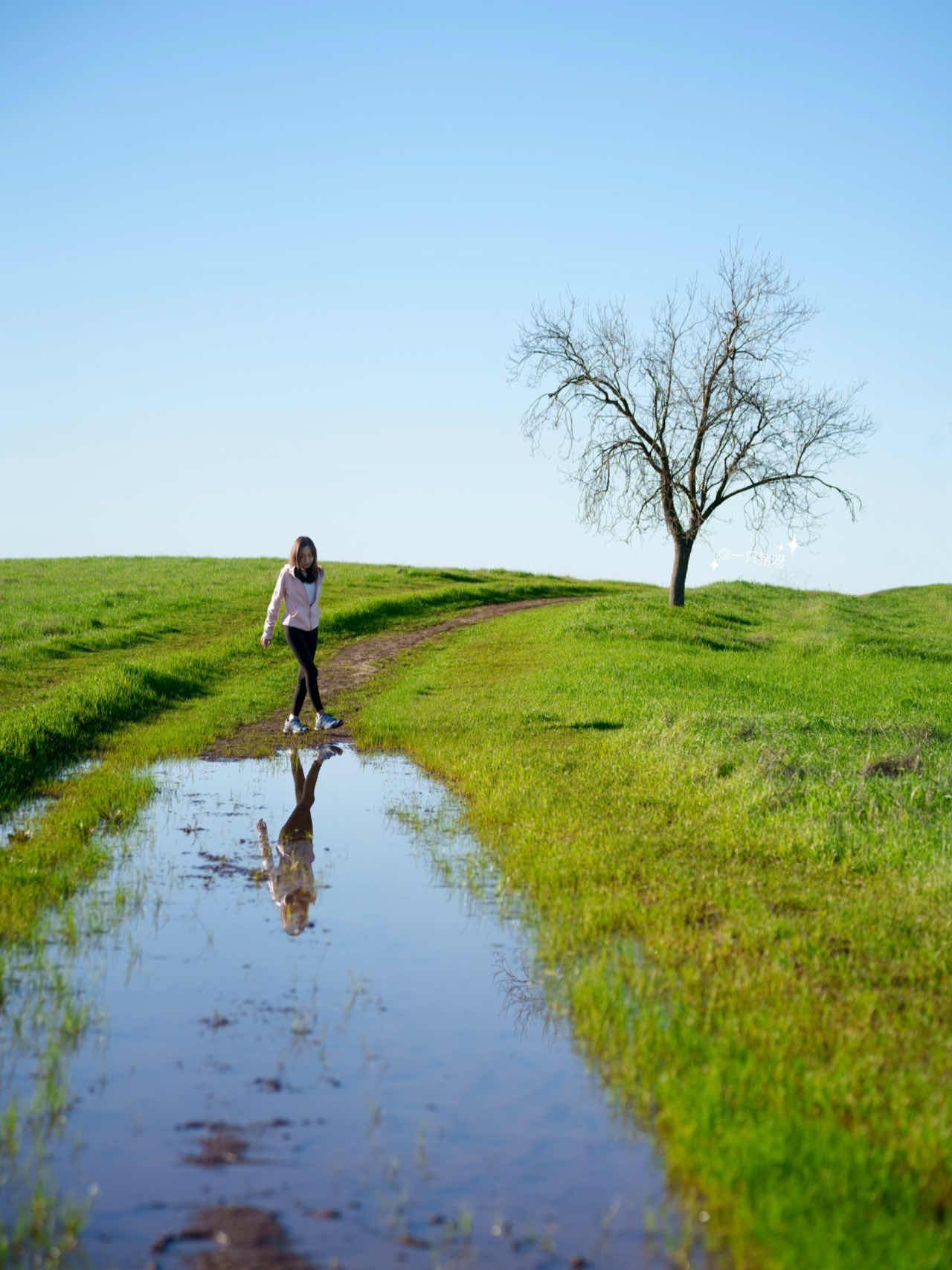 Bay Area Hiking: Discover a Mini Switzerland with Less Crowds