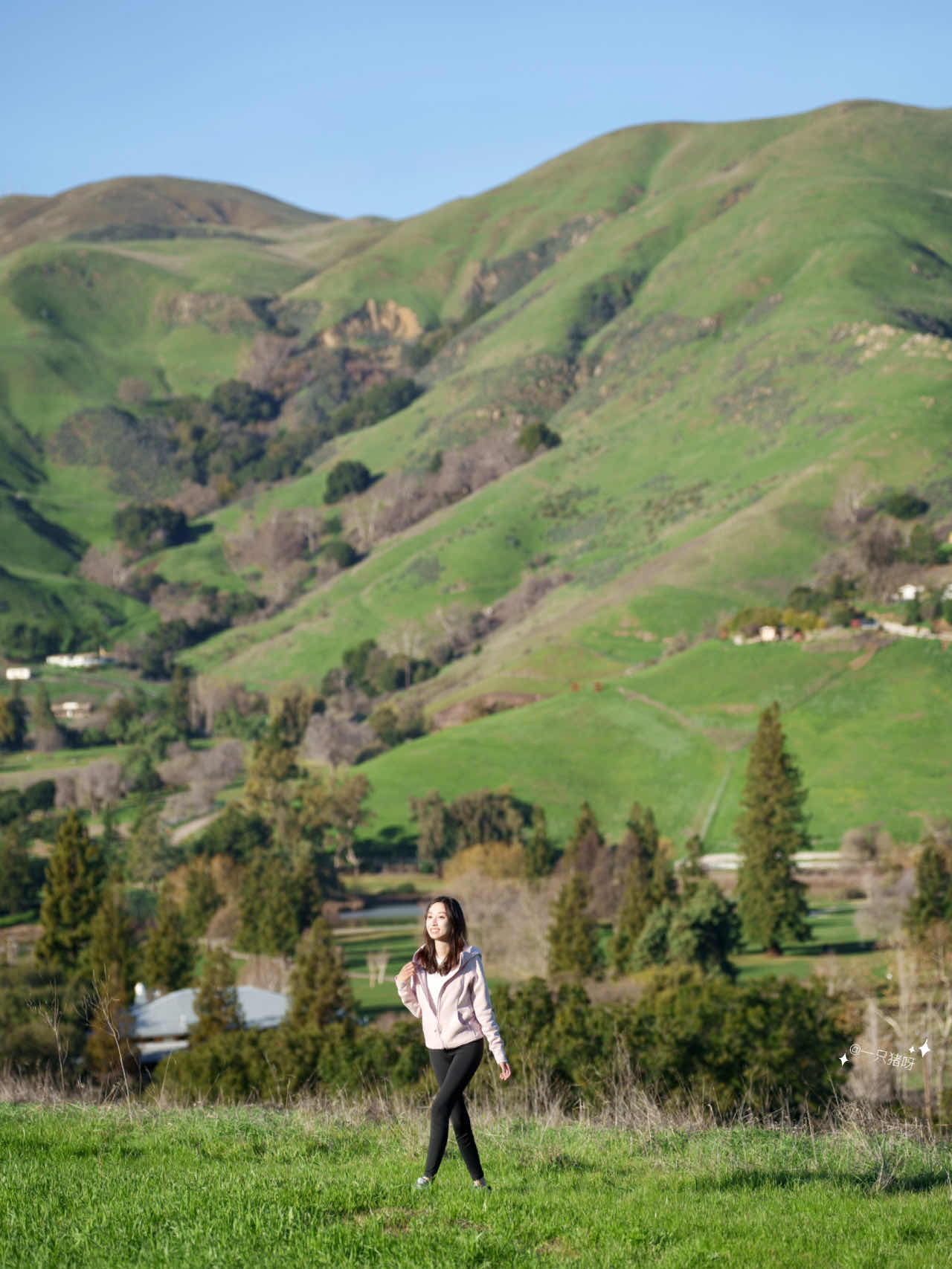 Bay Area Hiking: Discover a Mini Switzerland with Less Crowds