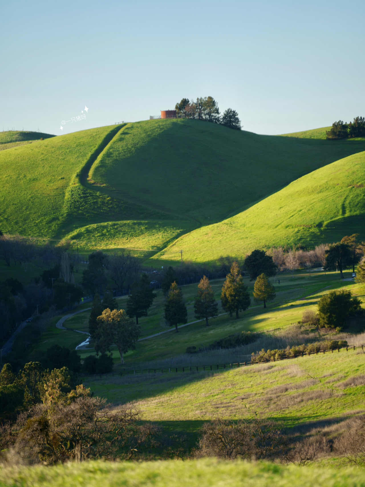 Bay Area Hiking: Discover a Mini Switzerland with Less Crowds