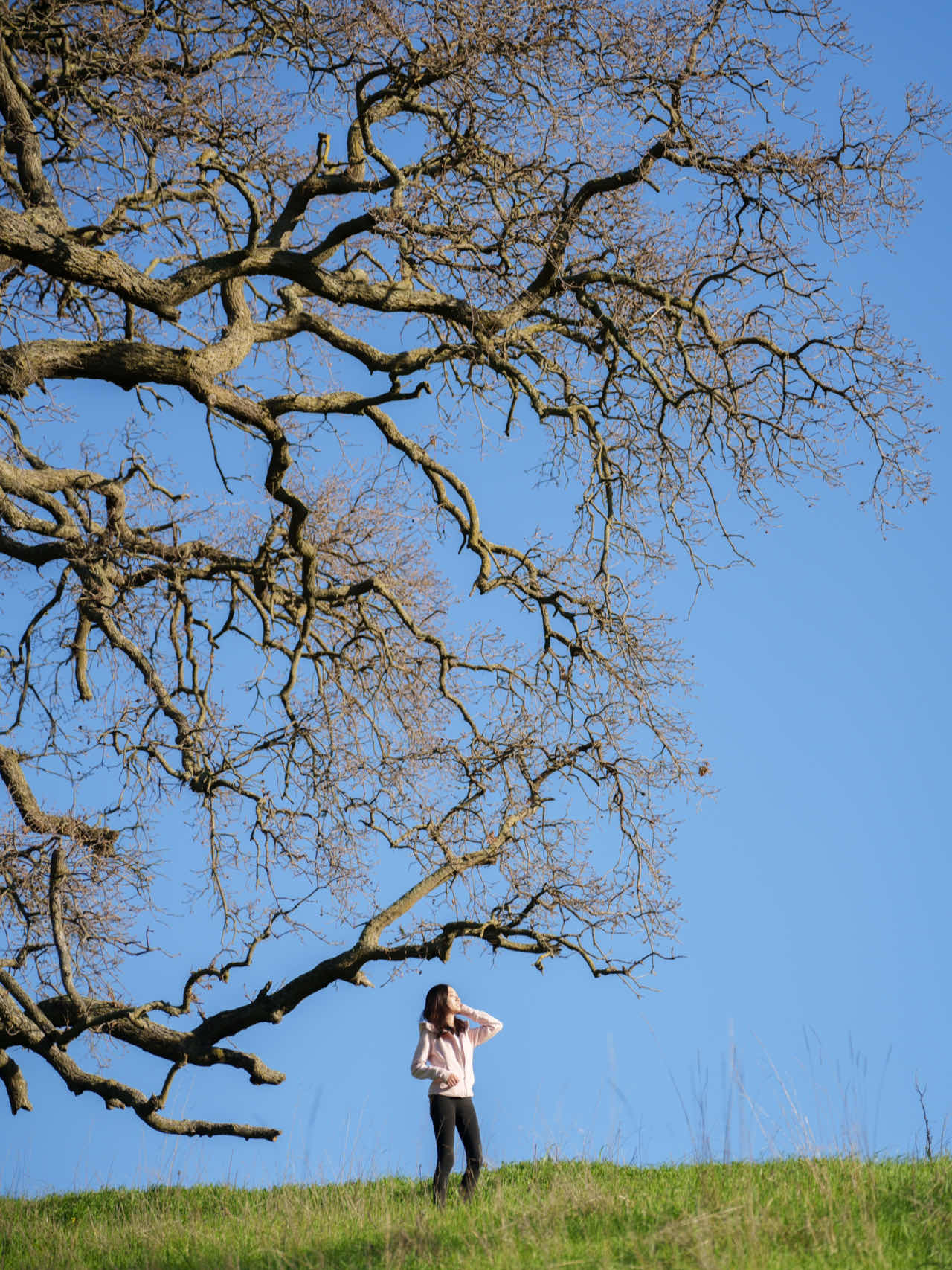 Bay Area Hiking: Discover a Mini Switzerland with Less Crowds