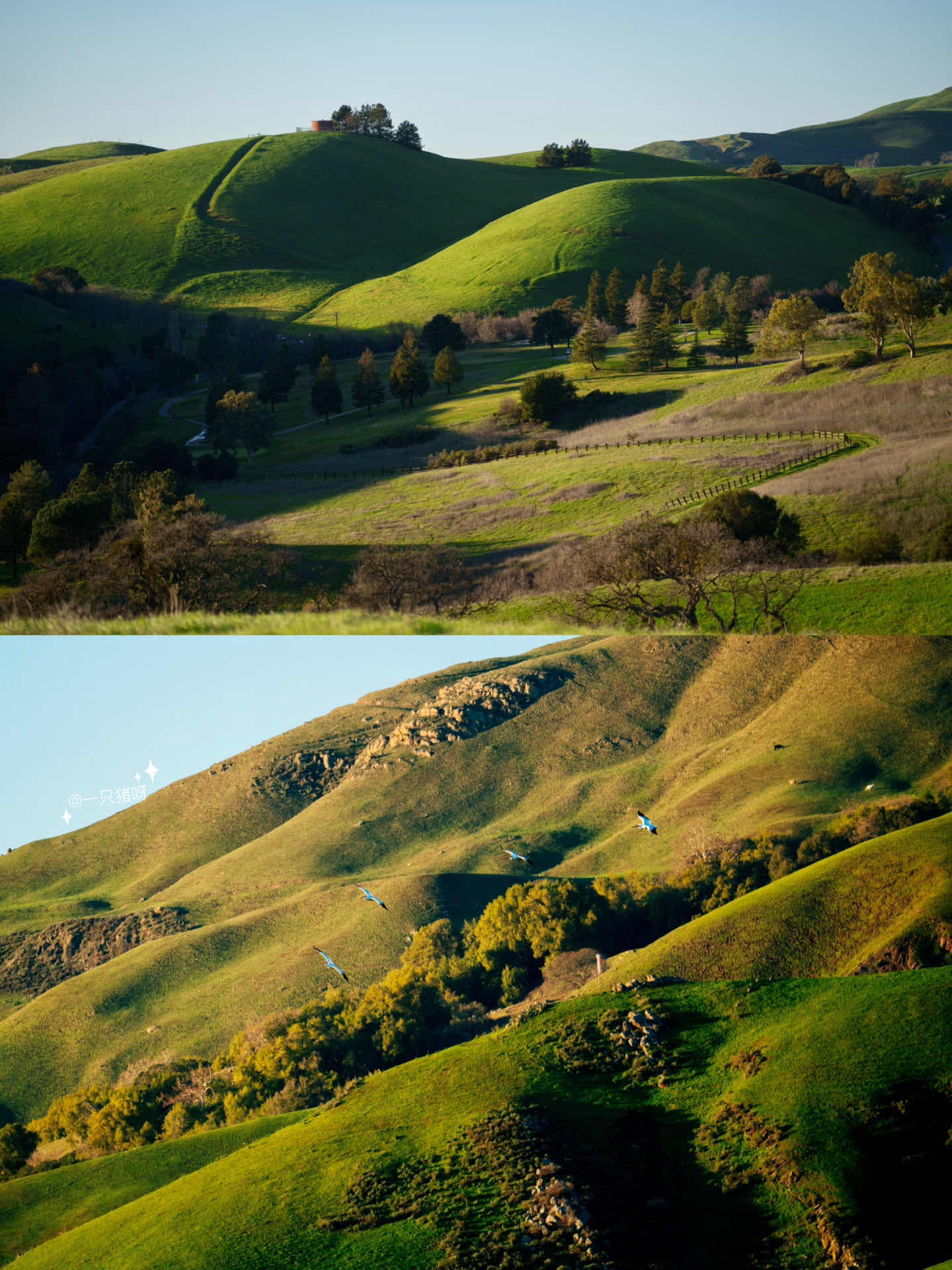 Bay Area Hiking: Discover a Mini Switzerland with Less Crowds