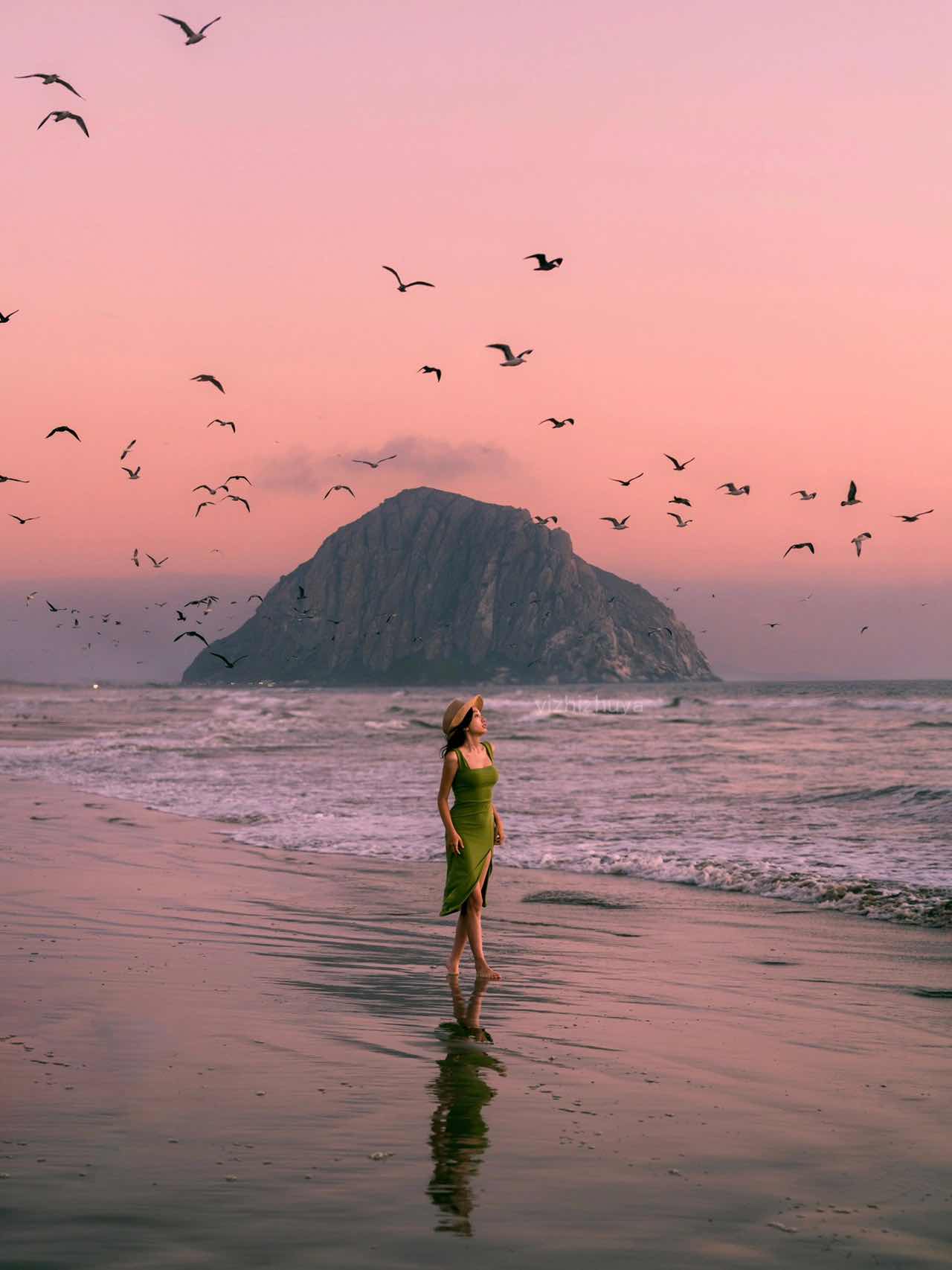 Morro Bay, CA: Unique Coastal Rocks, Whale Watching, & Sea Urchin