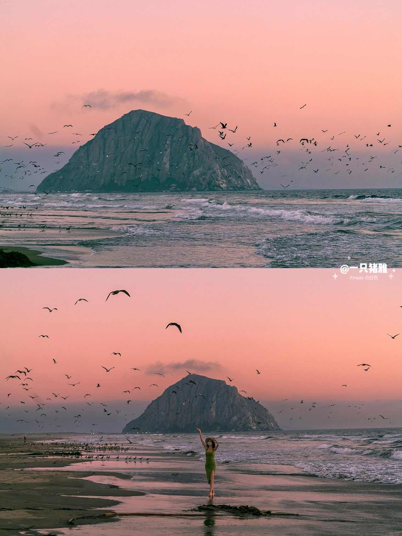 Morro Bay, CA: Unique Coastal Rocks, Whale Watching, & Sea Urchin