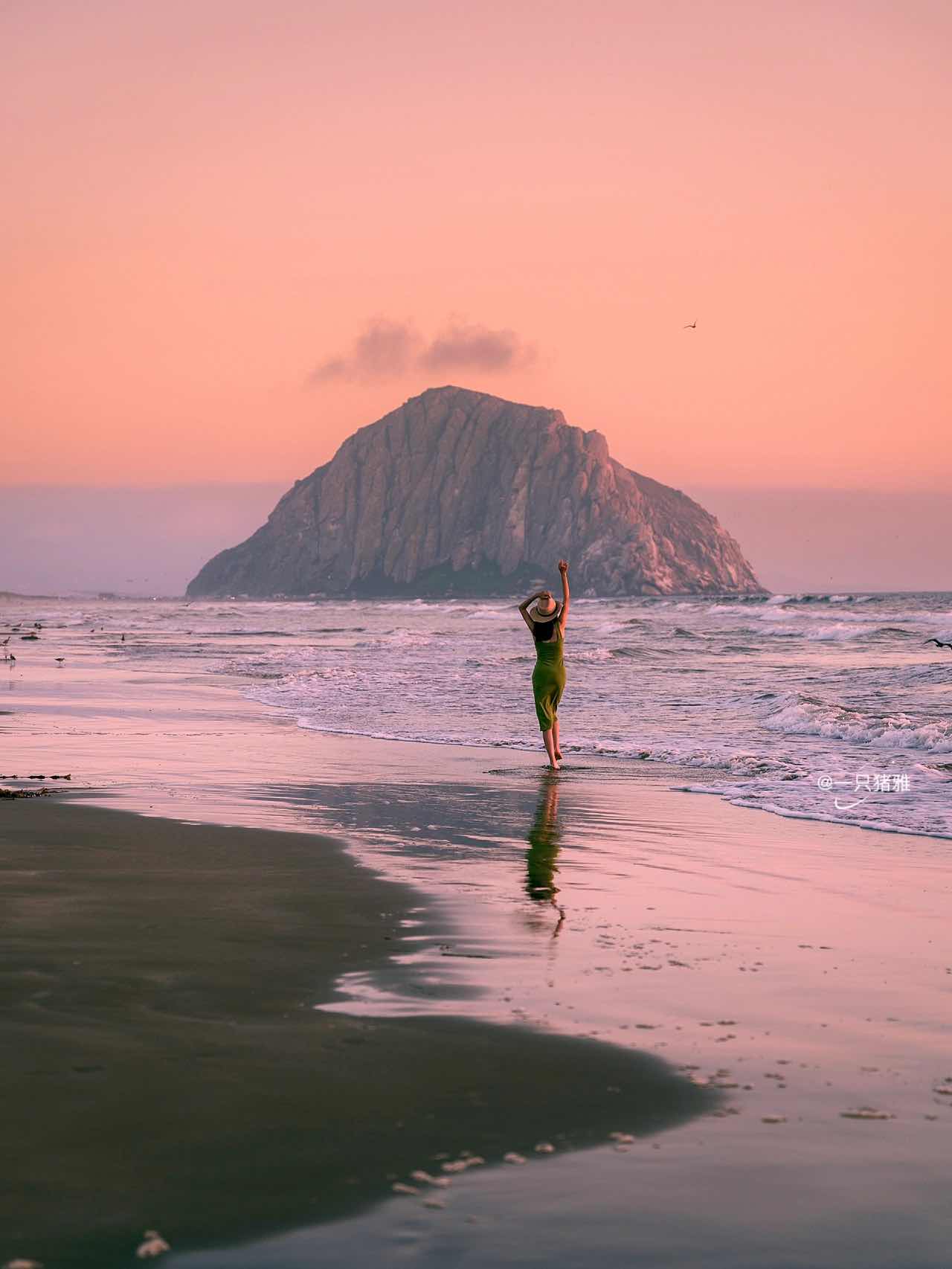 Morro Bay, CA: Unique Coastal Rocks, Whale Watching, & Sea Urchin