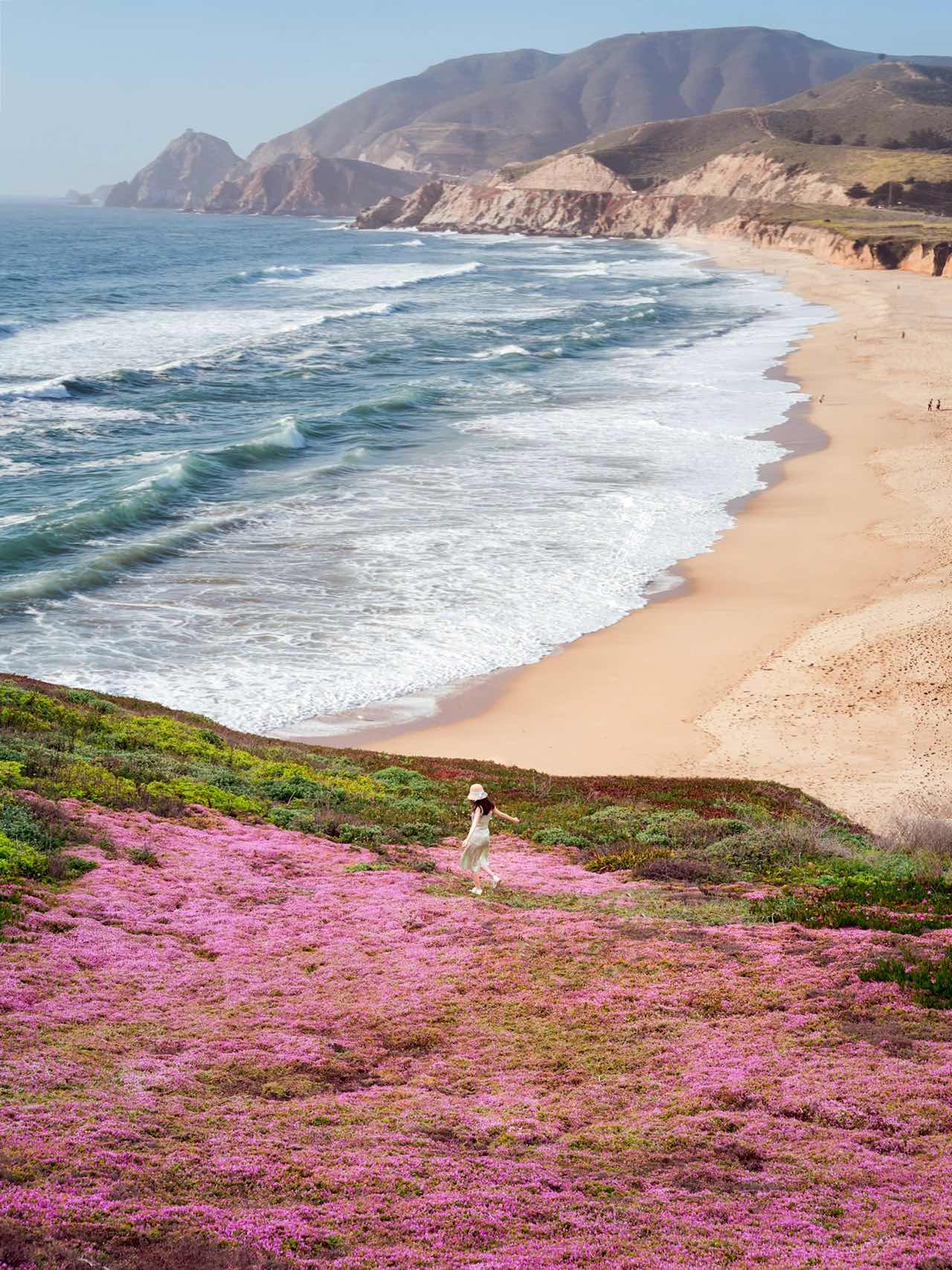 Pink Floral Blanket on California Coastline