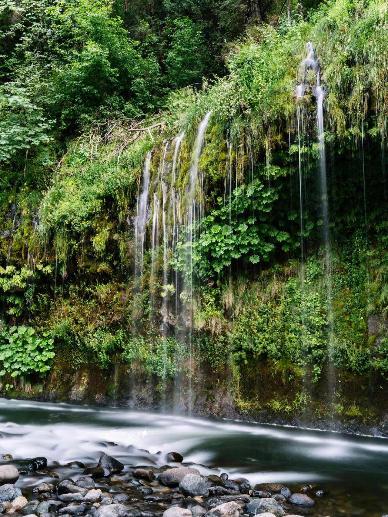 Mysterious Californian Wonderland: Summer Waterfall Cool-Down 💦