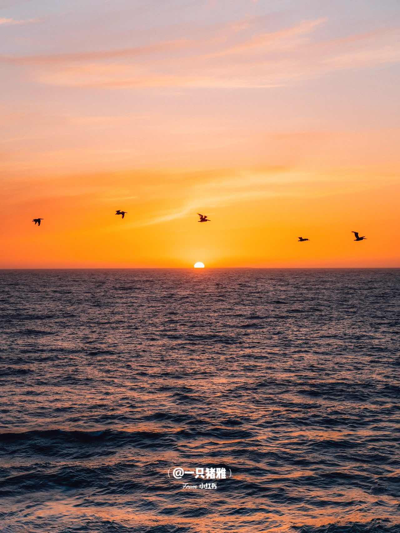 Pink Floral Blanket on California Coastline