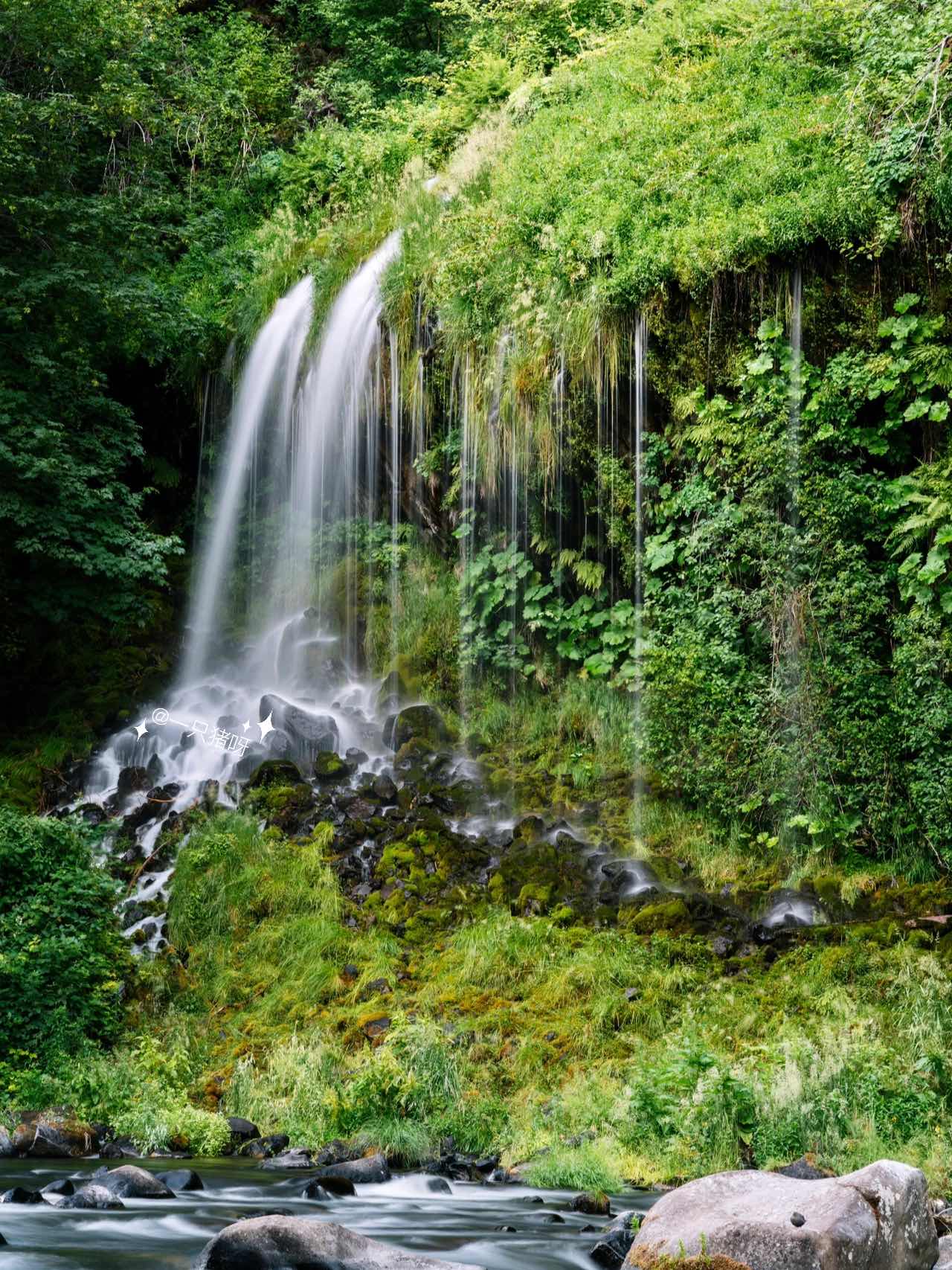 Mysterious Californian Wonderland: Summer Waterfall Cool-Down 💦