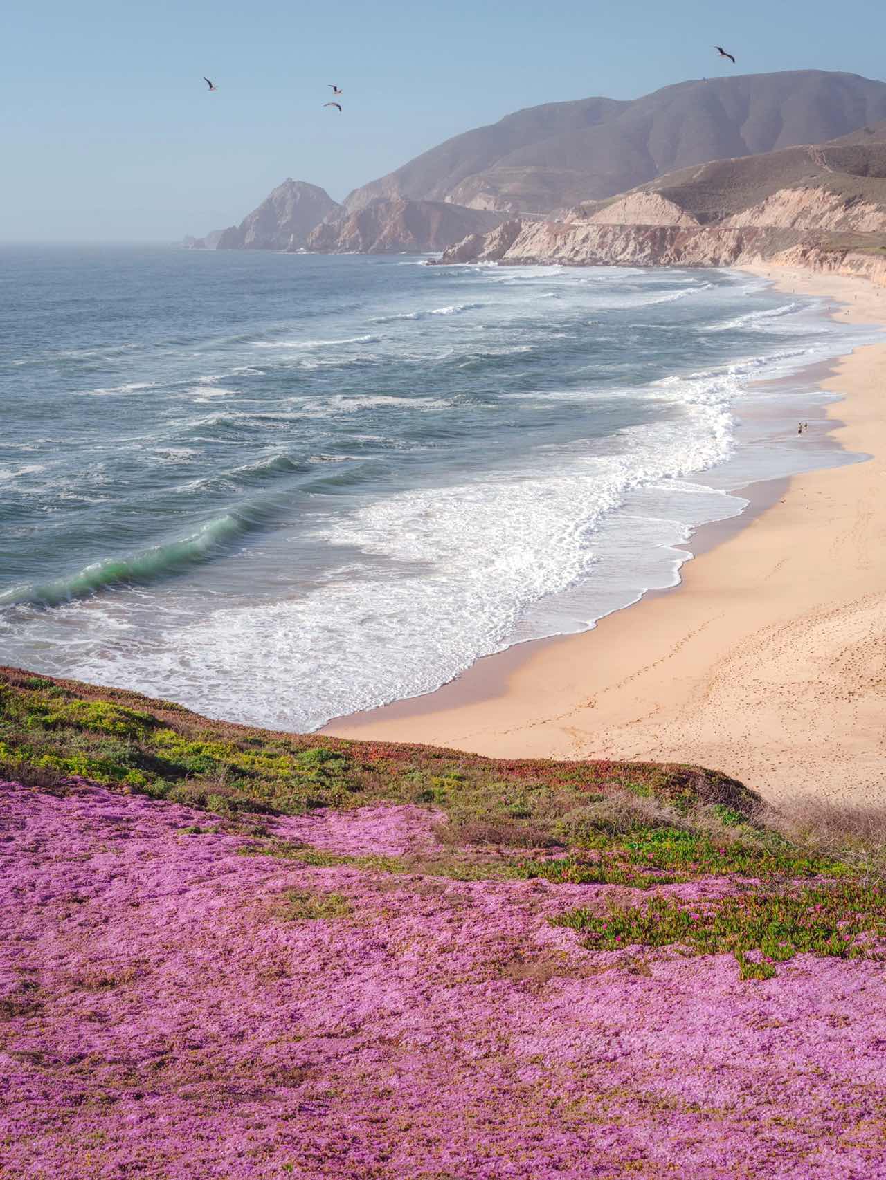 Pink Floral Blanket on California Coastline