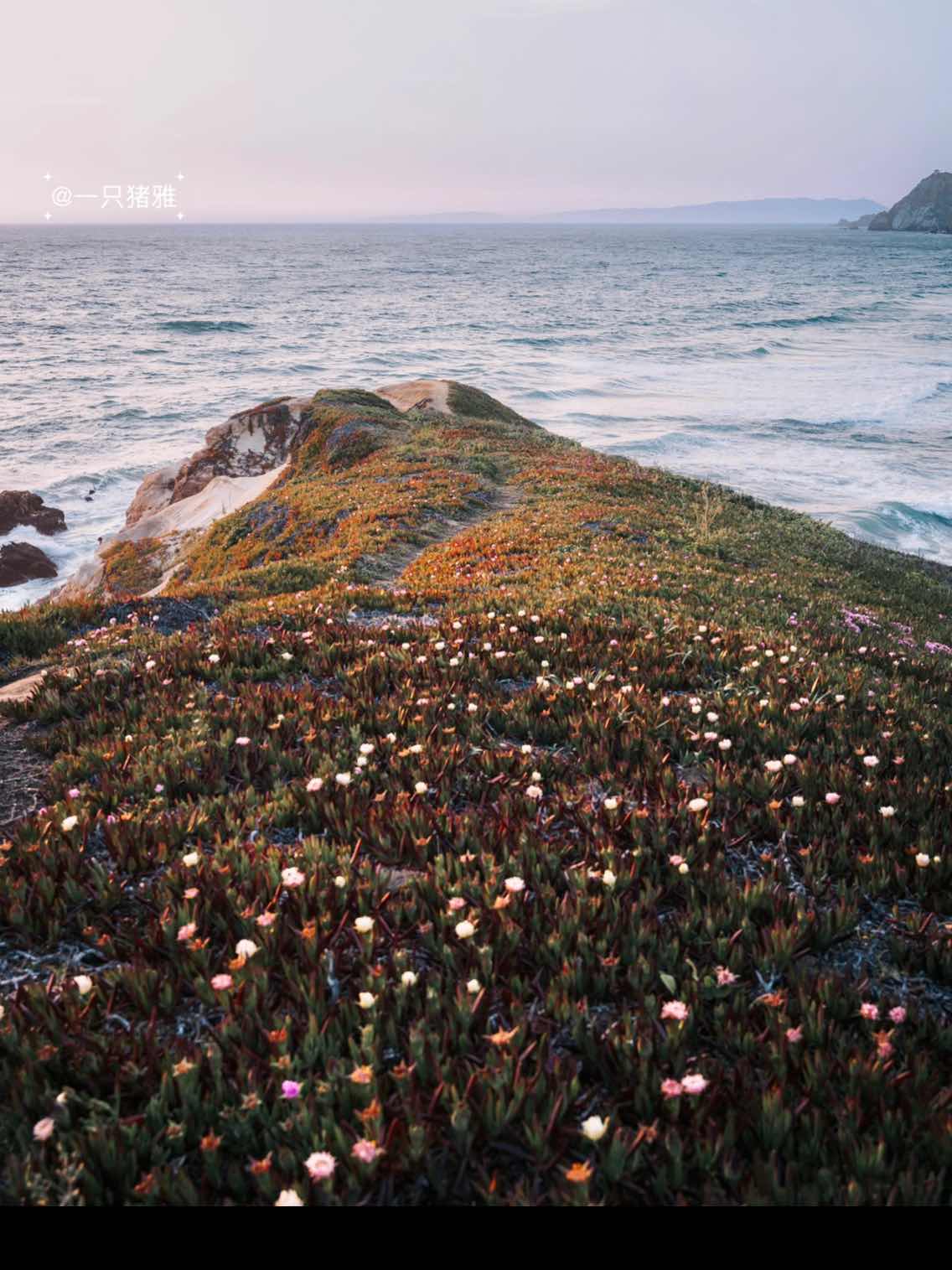 Pink Floral Blanket on California Coastline
