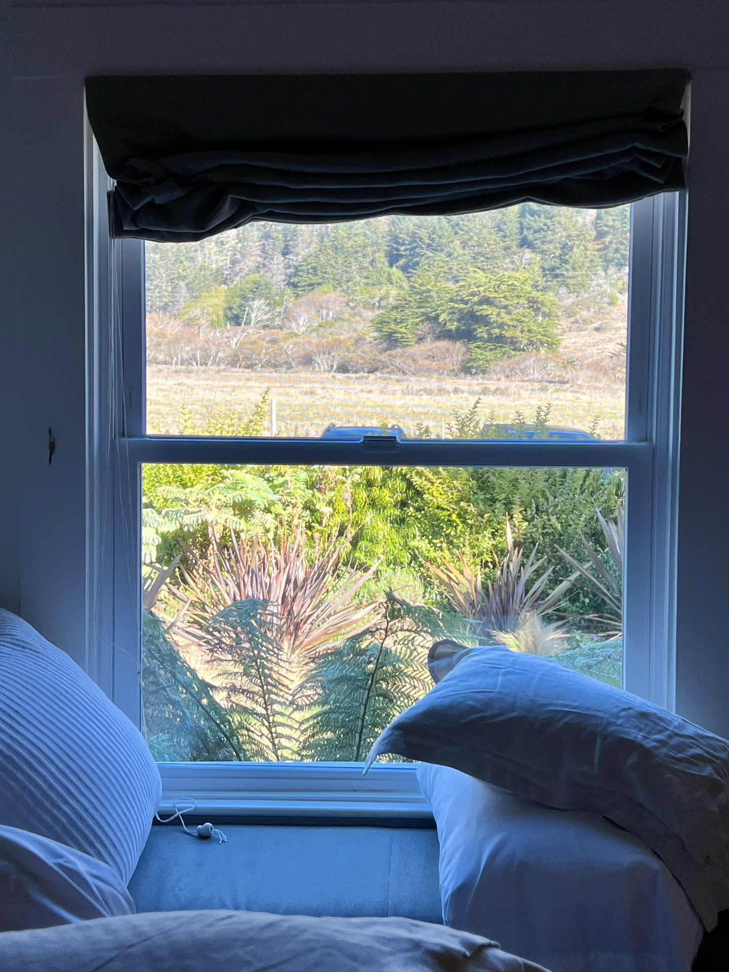 Bay Area Weekend｜Facing the sea, backed by mountains, Breakfast/Lunch 🌊