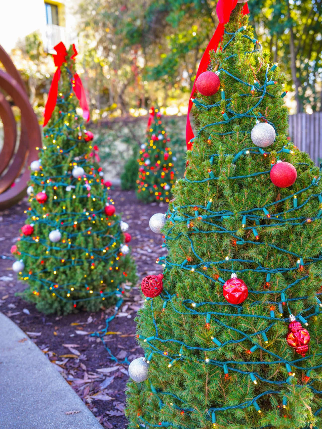 Healdsburg Town | Santa Claus🎅 is calling you👋
