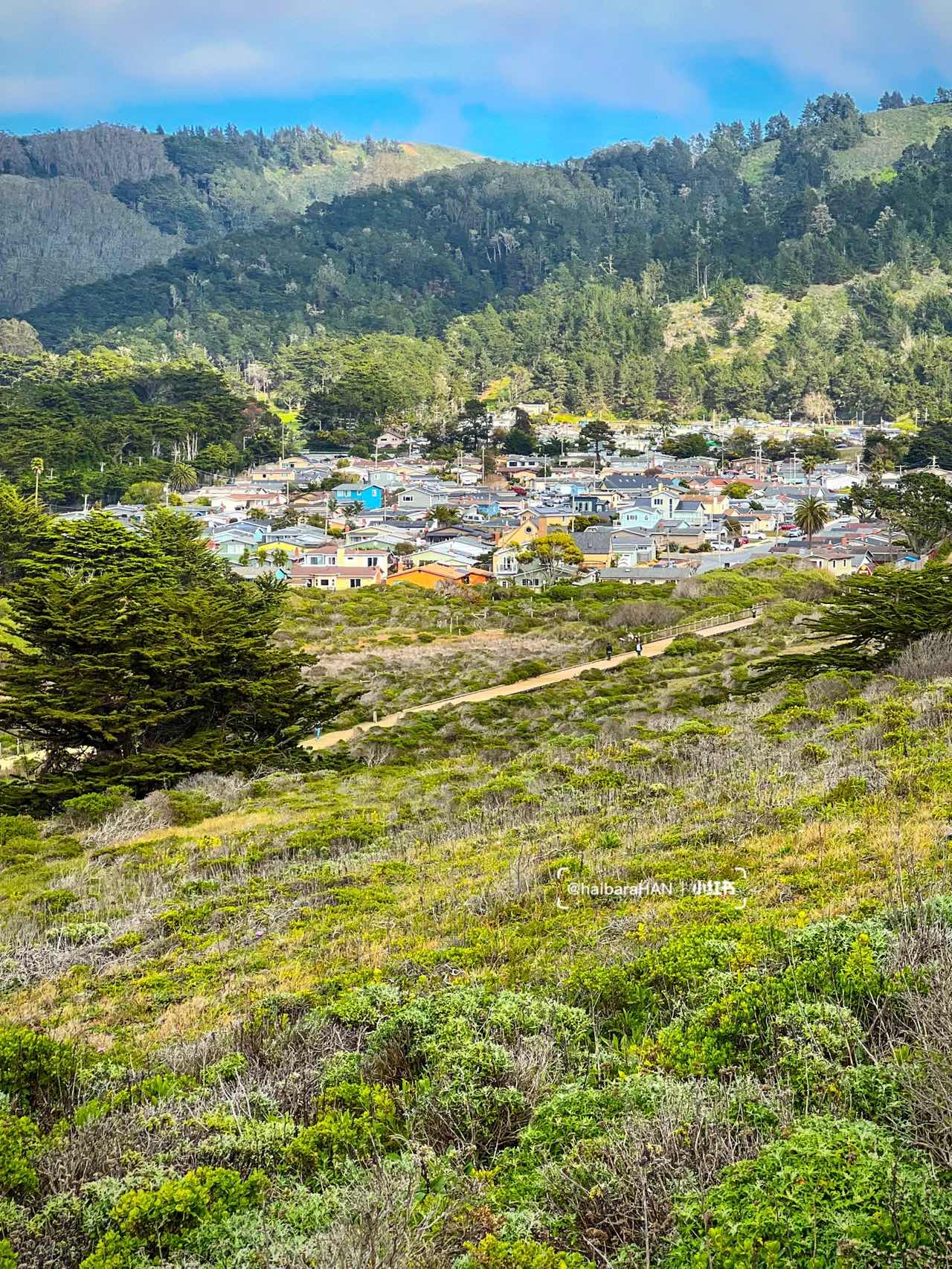 Mori Point | Unbeatable Bay Area Ocean Views Hiking Trail 🌊🌊