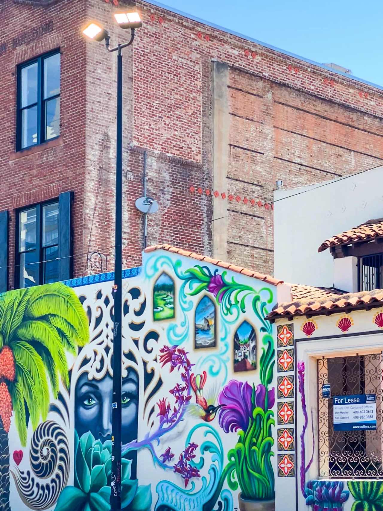 San Jose, Bay Area | Modern Tech-Inspired Graffiti Insta-Worthy Wall 📷 Shoot Here