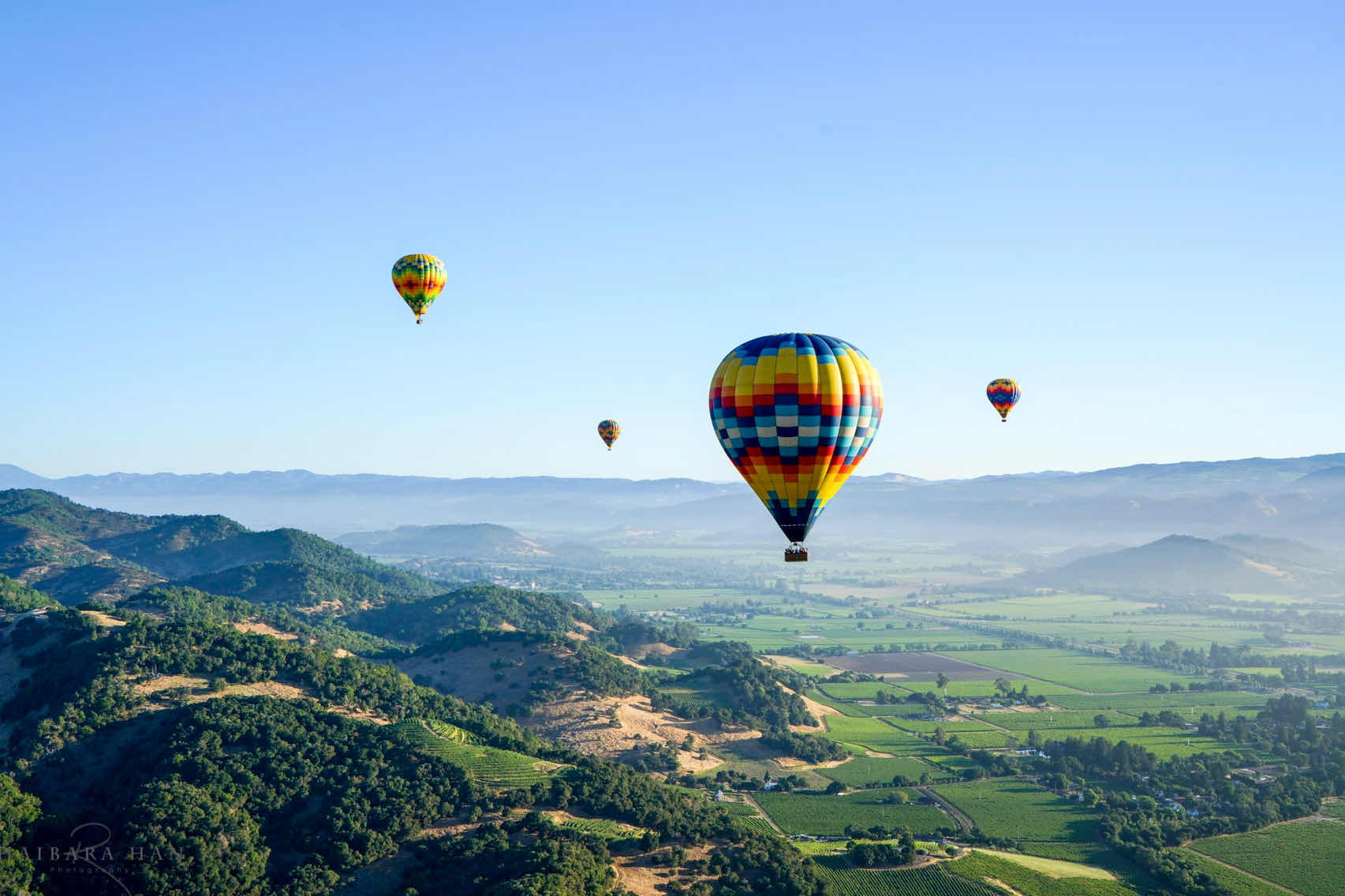 Weekend in the Bay Area | Napa Hot Air Balloon Trip 🎈 🎈Sunrise