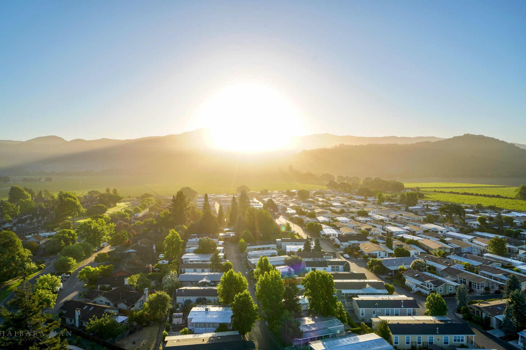 Weekend in the Bay Area | Napa Hot Air Balloon Trip 🎈 🎈Sunrise