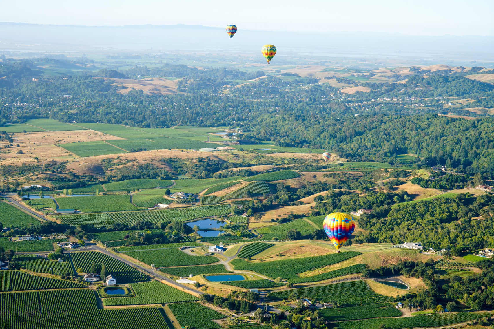 Weekend in the Bay Area | Napa Hot Air Balloon Trip 🎈 🎈Sunrise