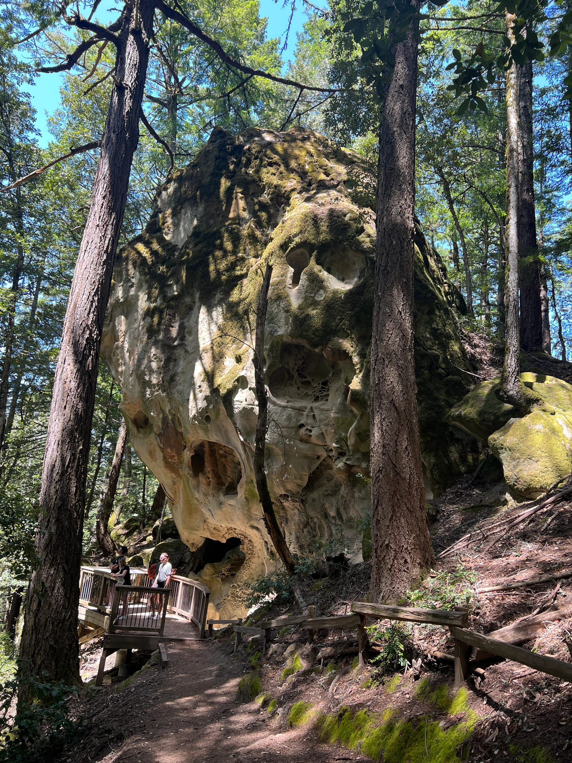 Bay Area Weekend | Exploring Shady Trails and Marveling at Giant Stones