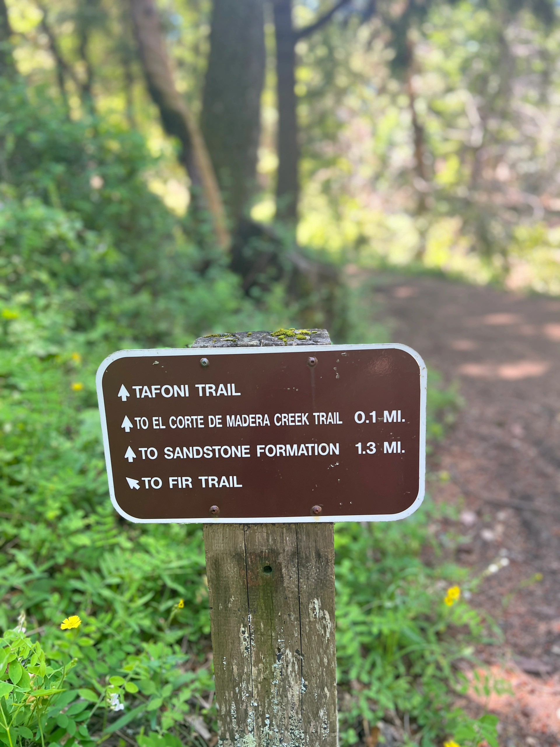 Bay Area Weekend | Exploring Shady Trails and Marveling at Giant Stones