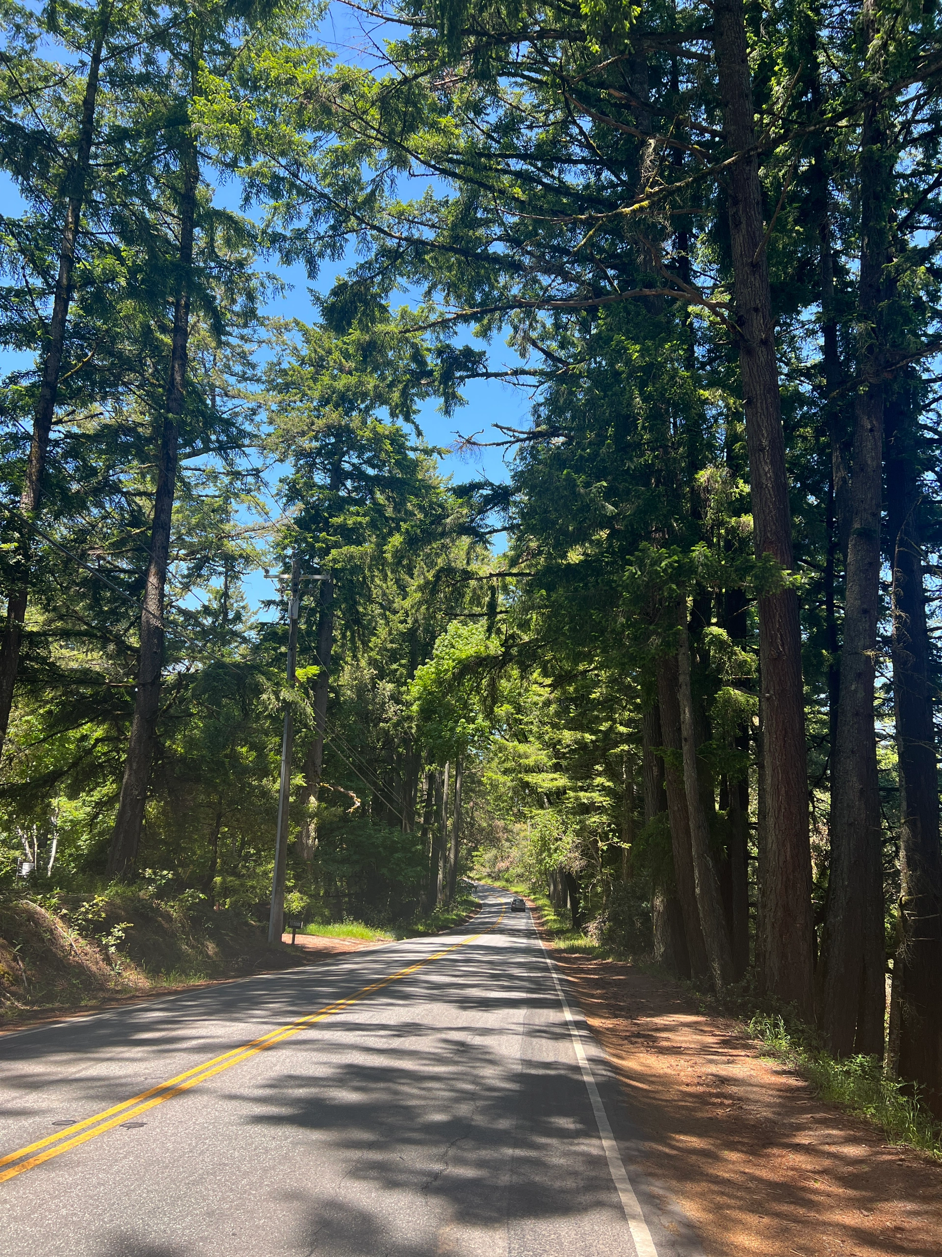 Bay Area Weekend | Exploring Shady Trails and Marveling at Giant Stones