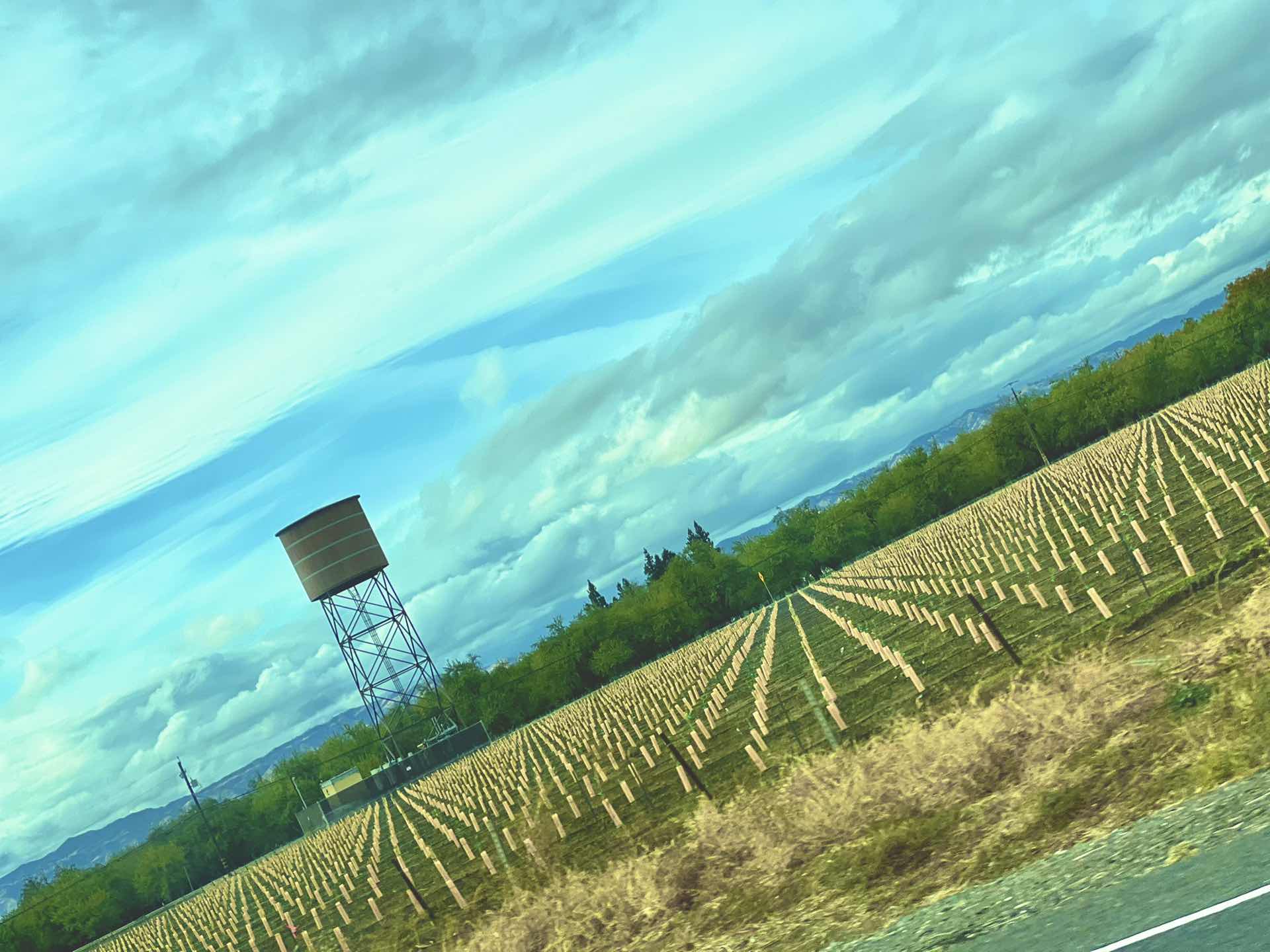 Drive home from Folsom 