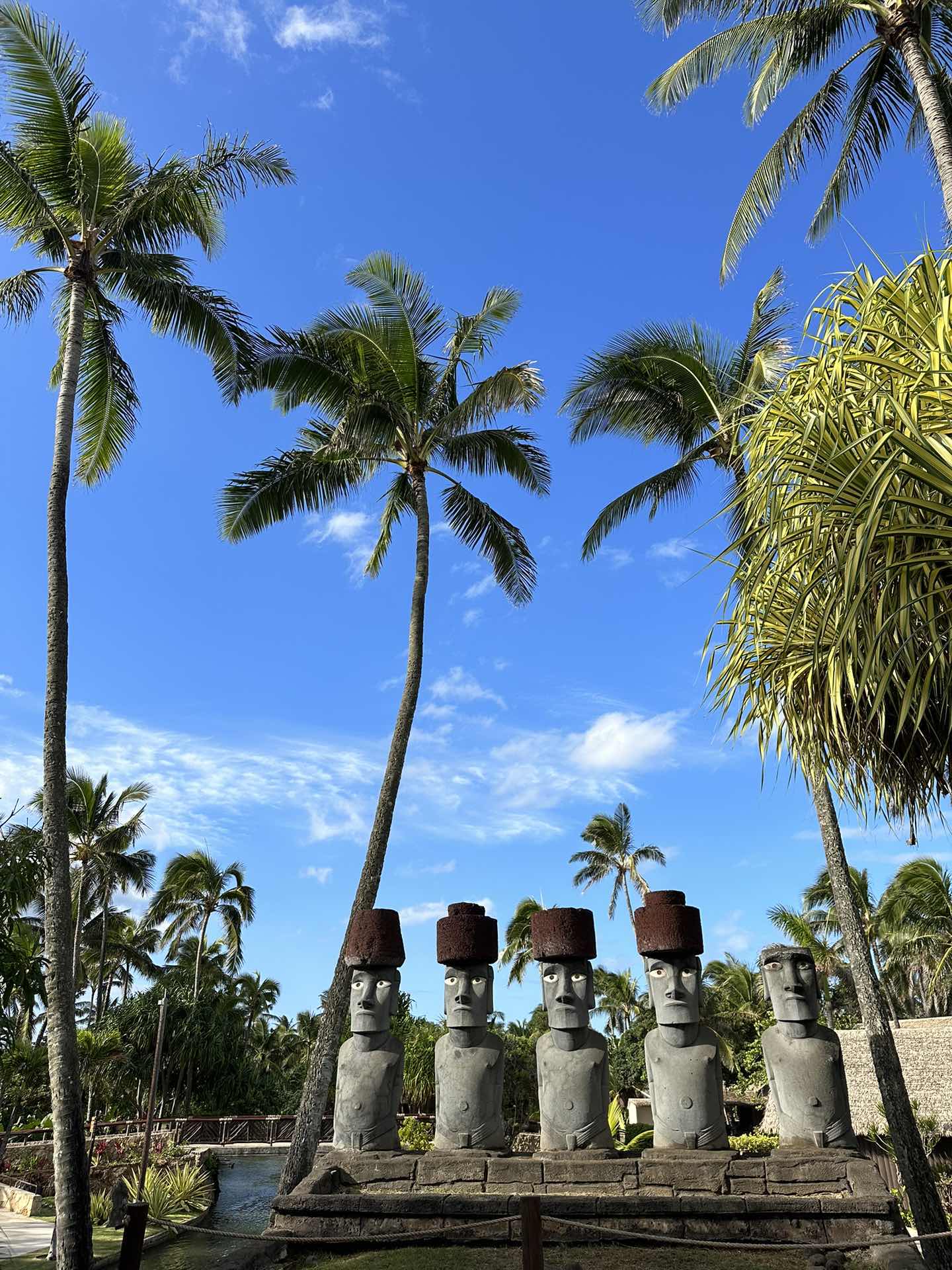 🌴Exploring O'ahu🌴