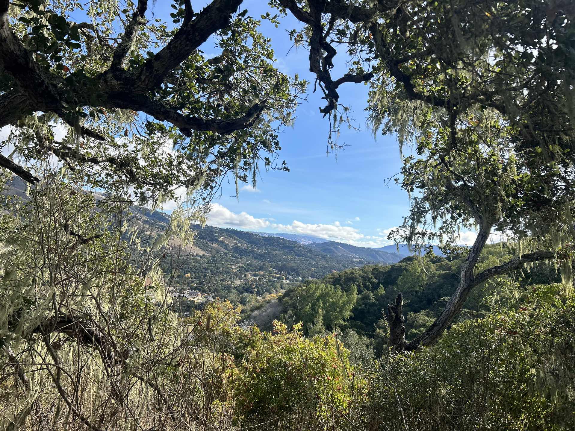 Peace of mind