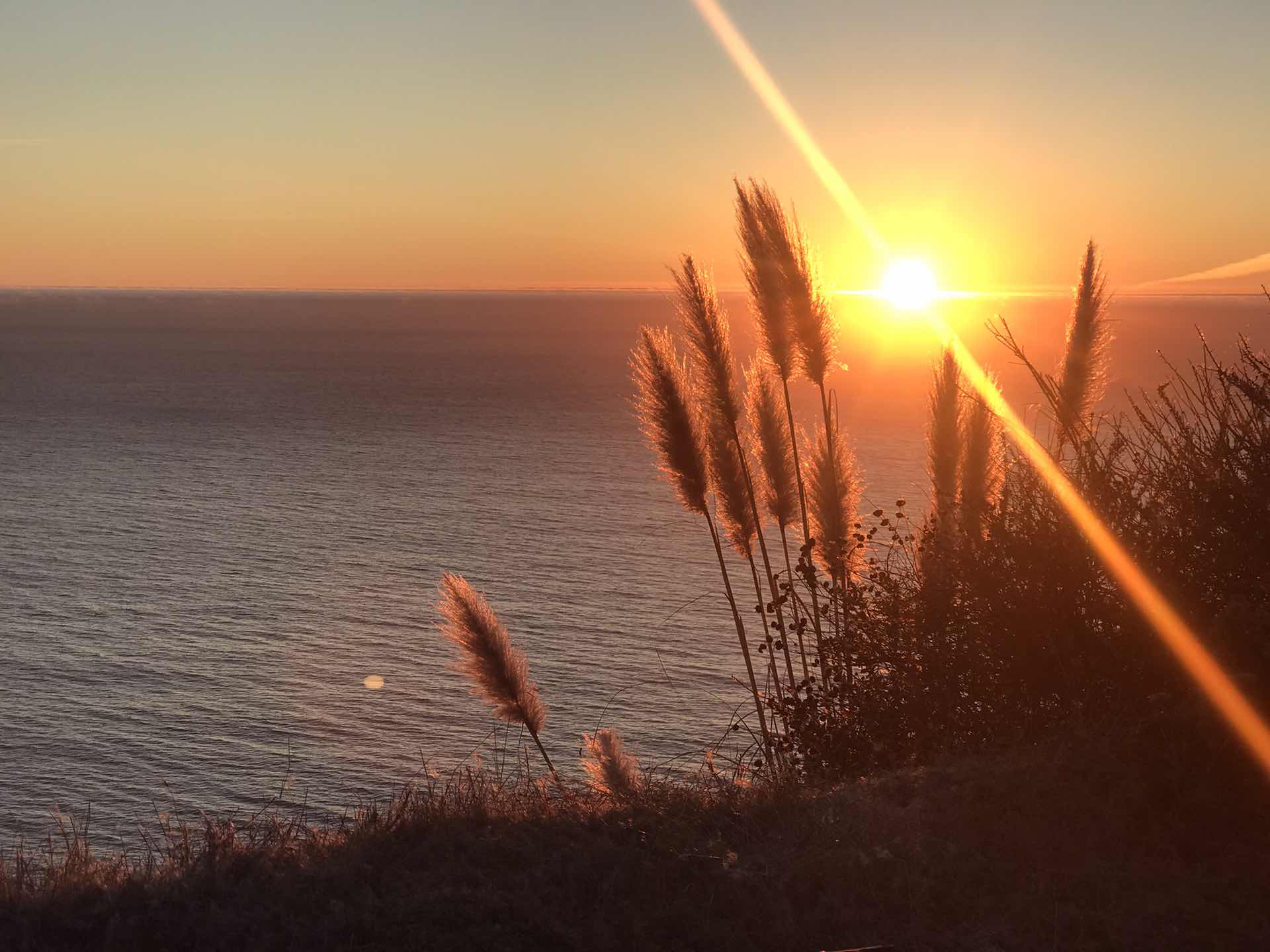 One day in Big Sur