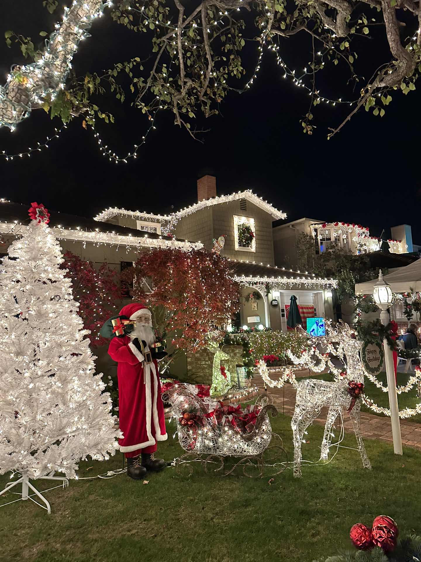 Christmas lights in San Carlos
