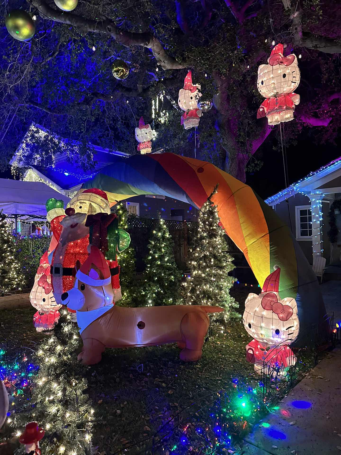 Christmas lights in San Carlos