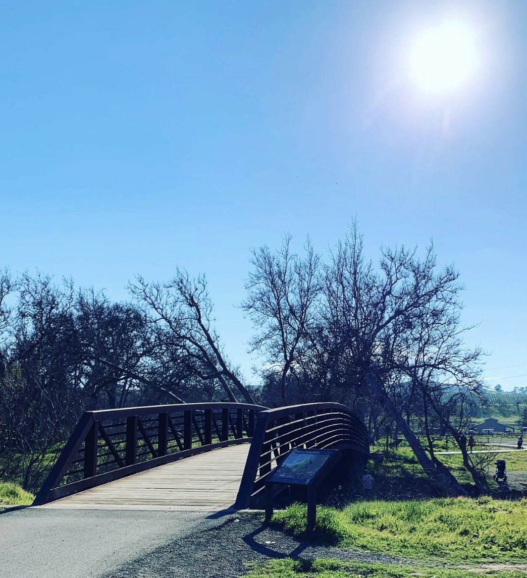 What You Need to Know About Sycamore Grove Park
