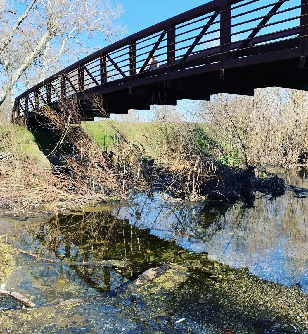 What You Need to Know About Sycamore Grove Park