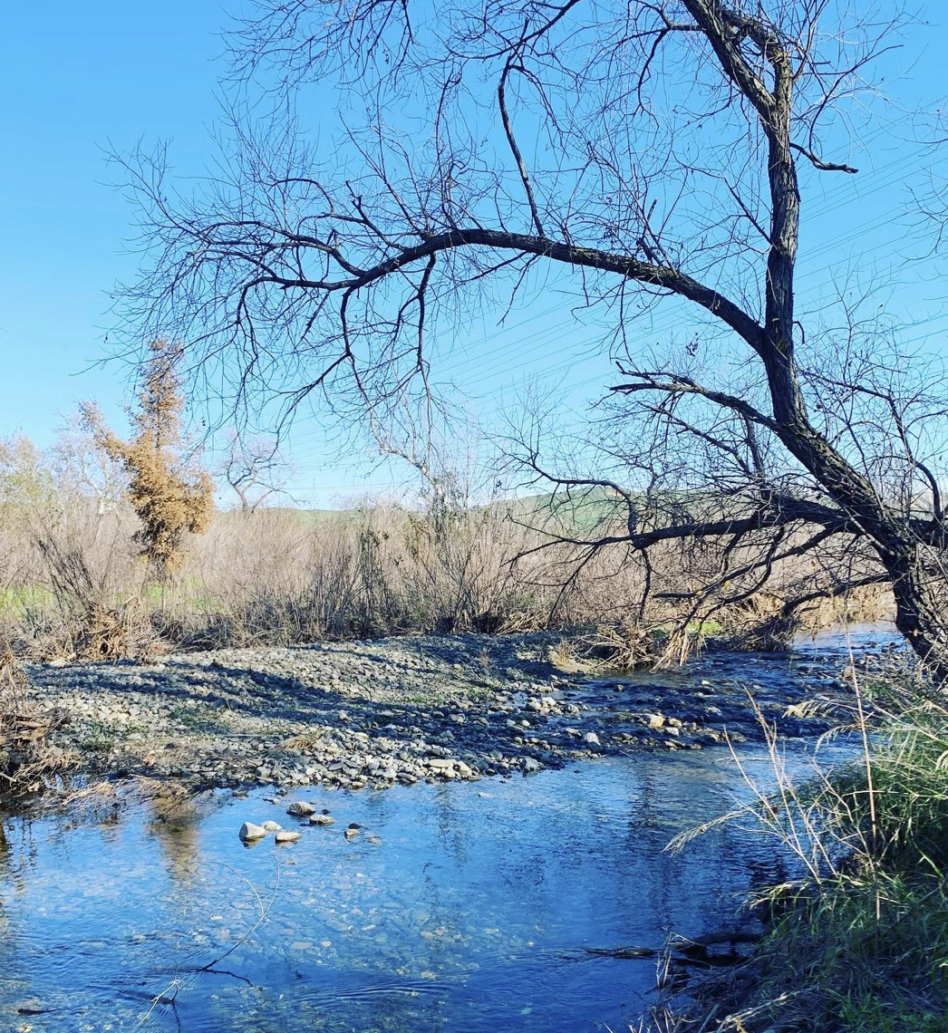 What You Need to Know About Sycamore Grove Park