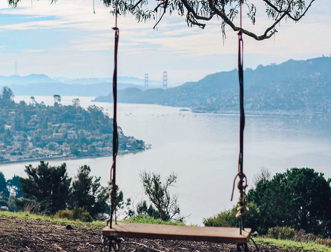 Tiburon Travel Guide: The Best Restaurants, Hotel, and Things To Do in Tiburon, California