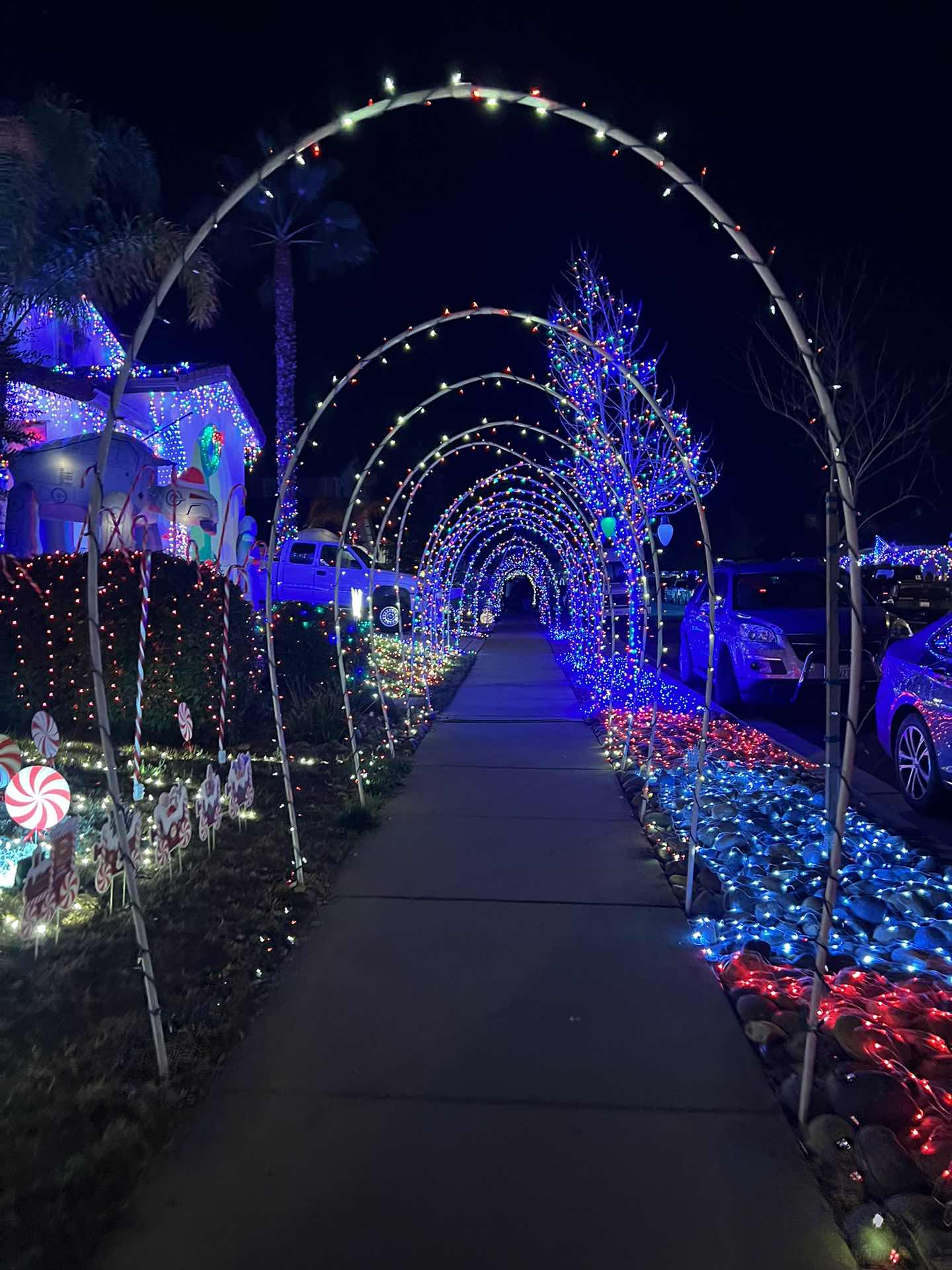 Christmas Lights Charity event