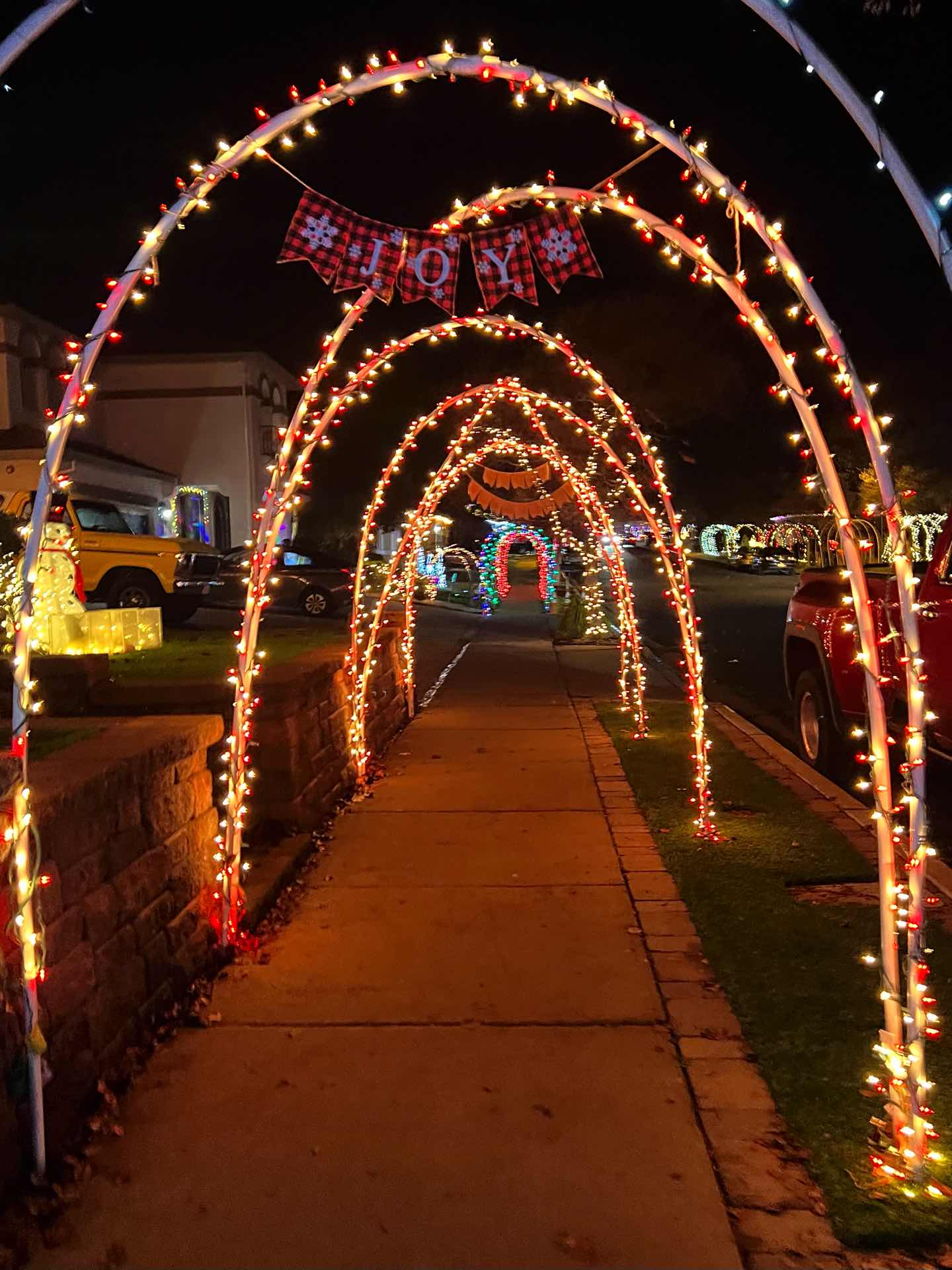 Christmas Lights Charity event