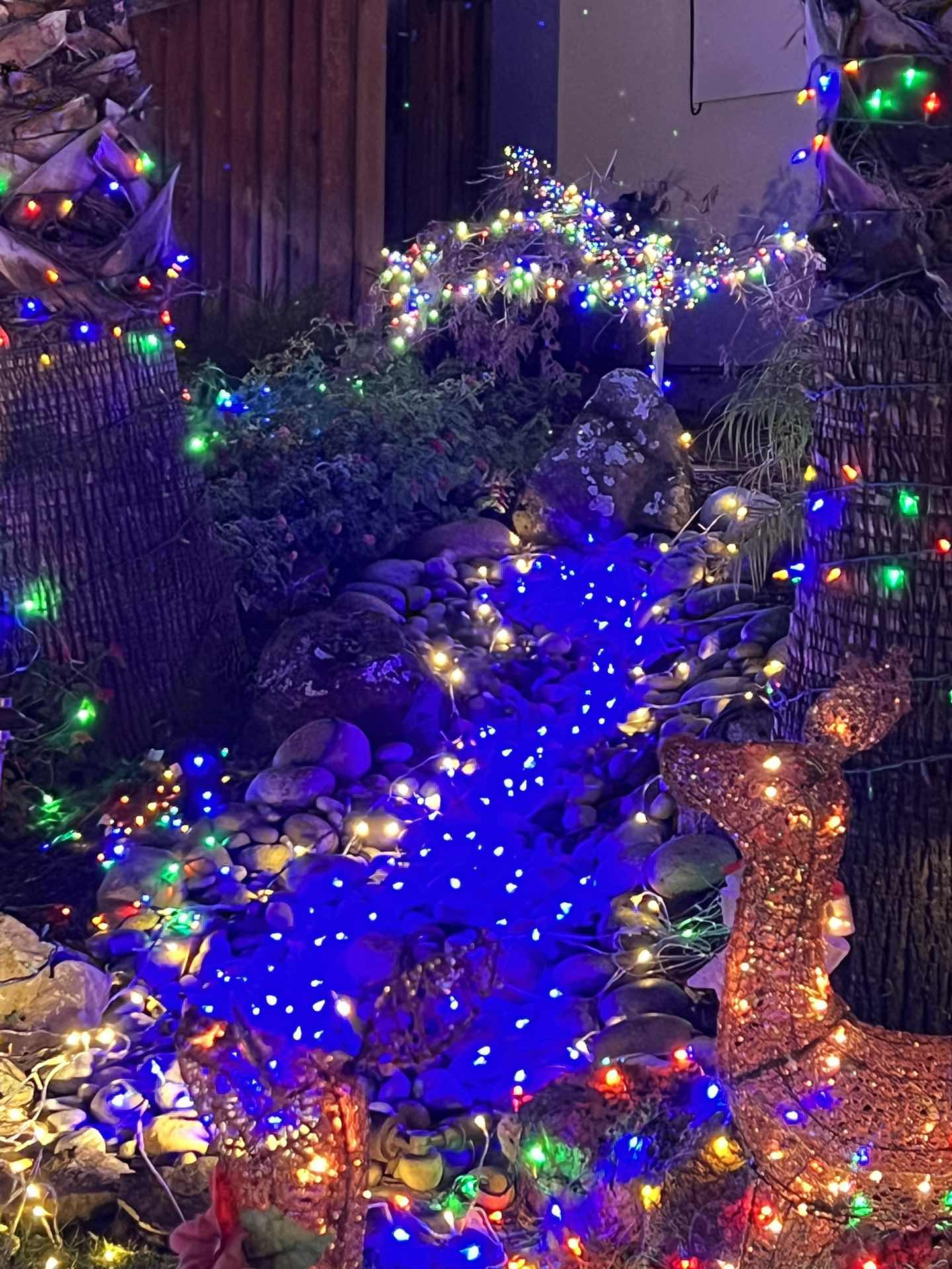 Christmas Lights Charity event