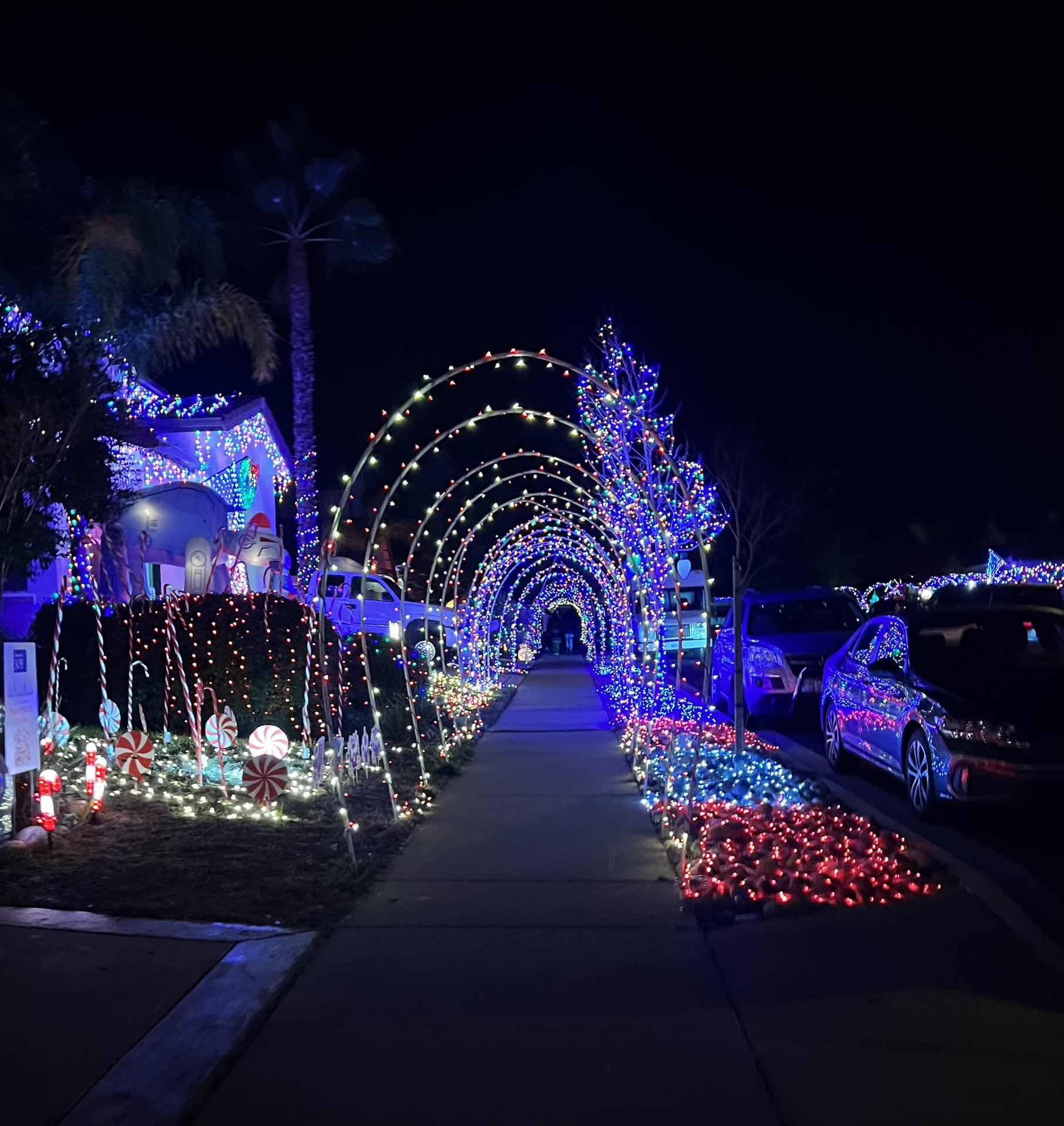 Christmas Lights Charity event