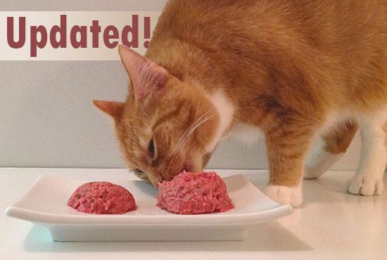 🐱 Easy Homemade Cat Food Recipe 🍗🦴
