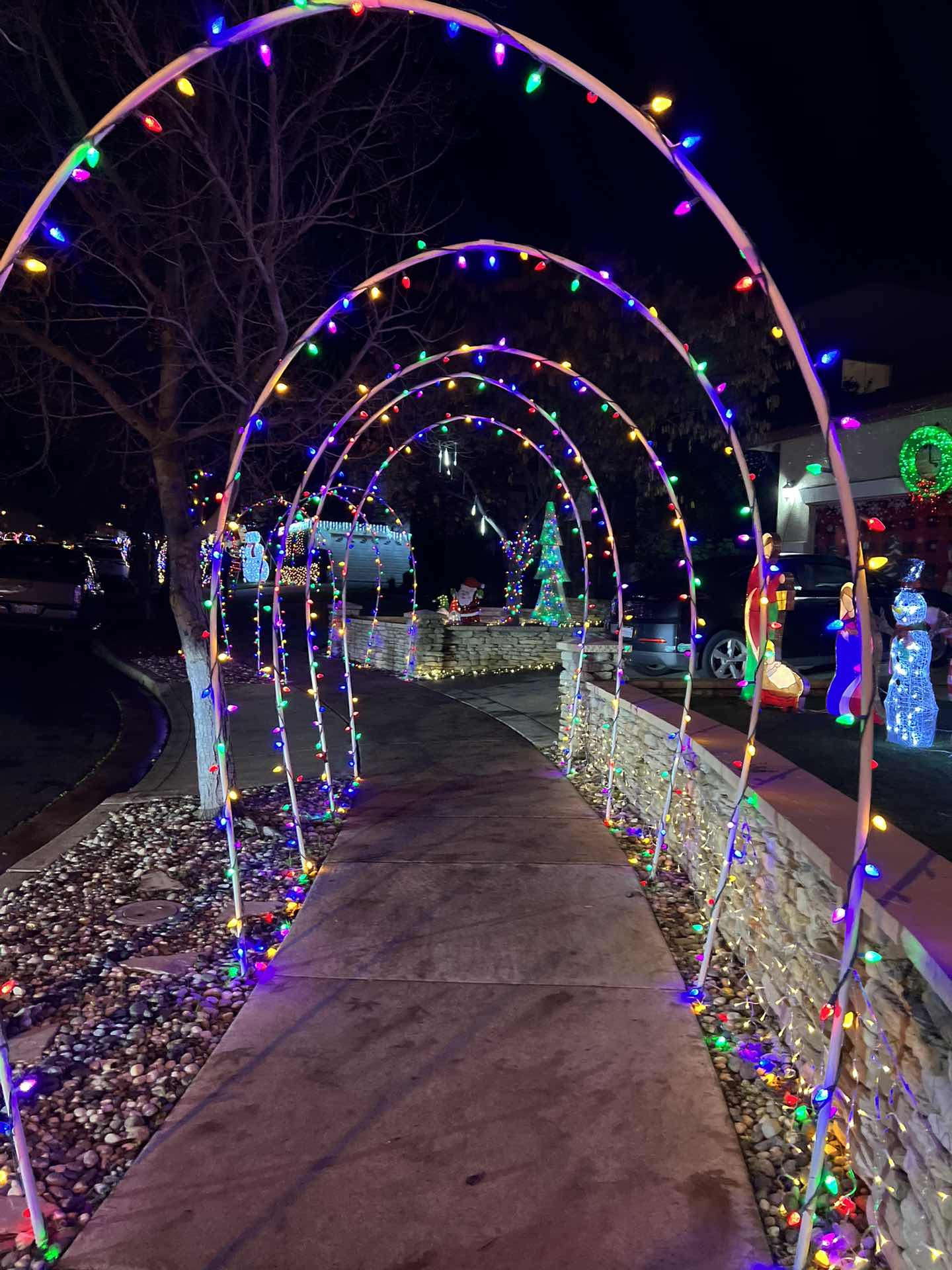 Christmas Lights Charity event