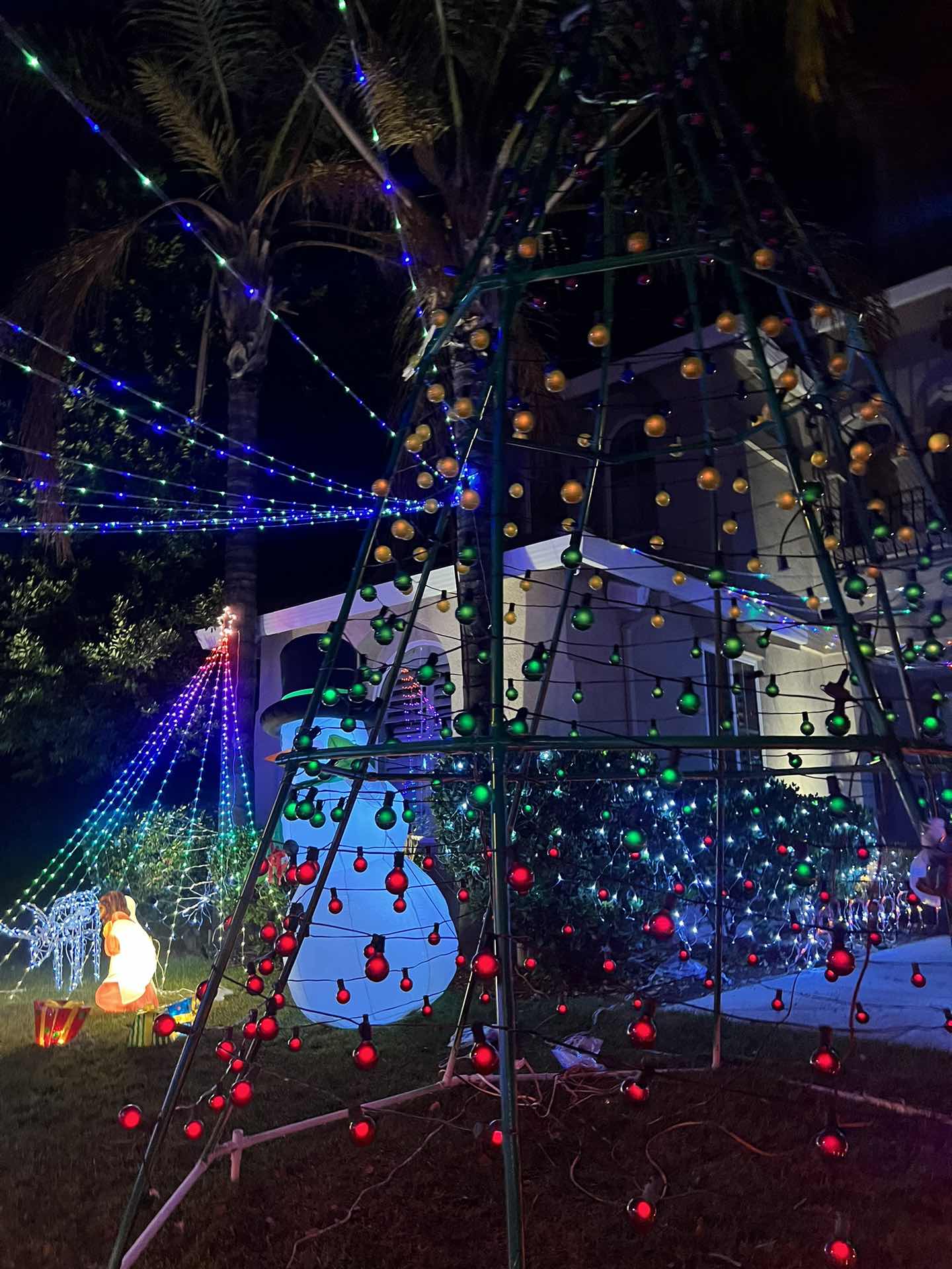 Christmas Lights Charity event