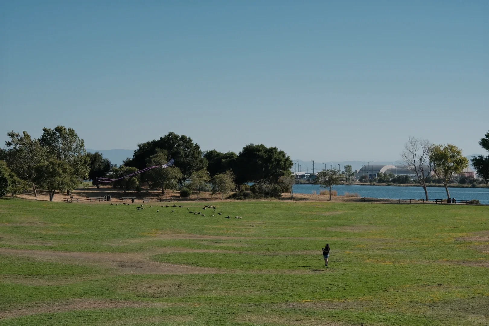 Discover Hidden Wetland Hiking Trails in the Bay Area 