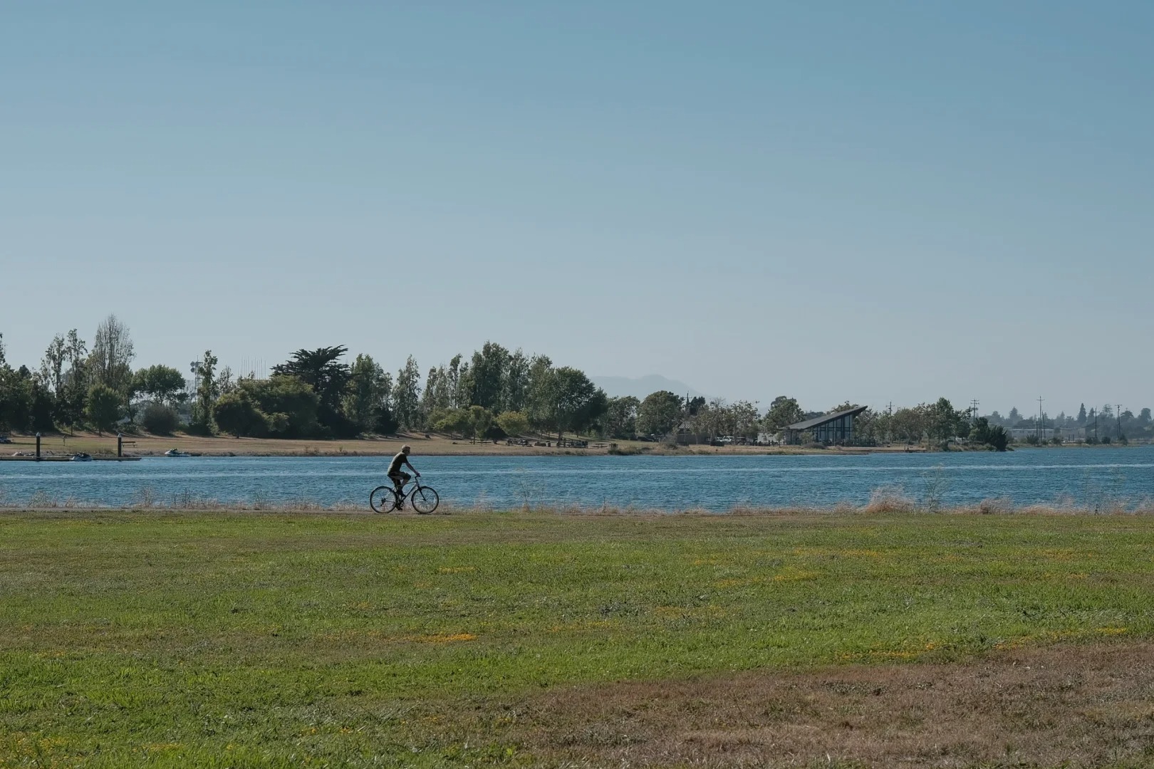 Discover Hidden Wetland Hiking Trails in the Bay Area 