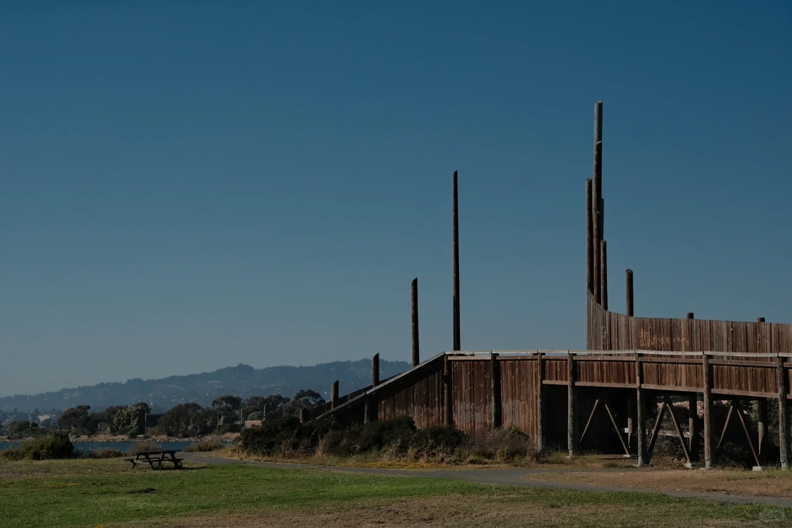 Discover Hidden Wetland Hiking Trails in the Bay Area 