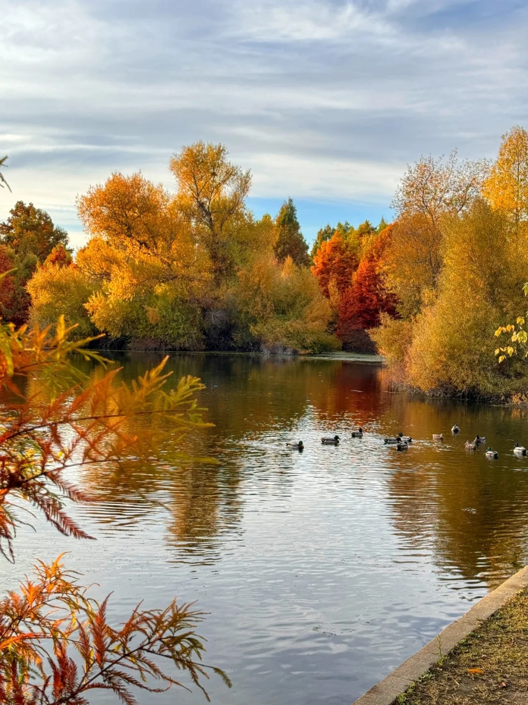 Lesser-known trail in the Bay Area that offers stunning autumn colors