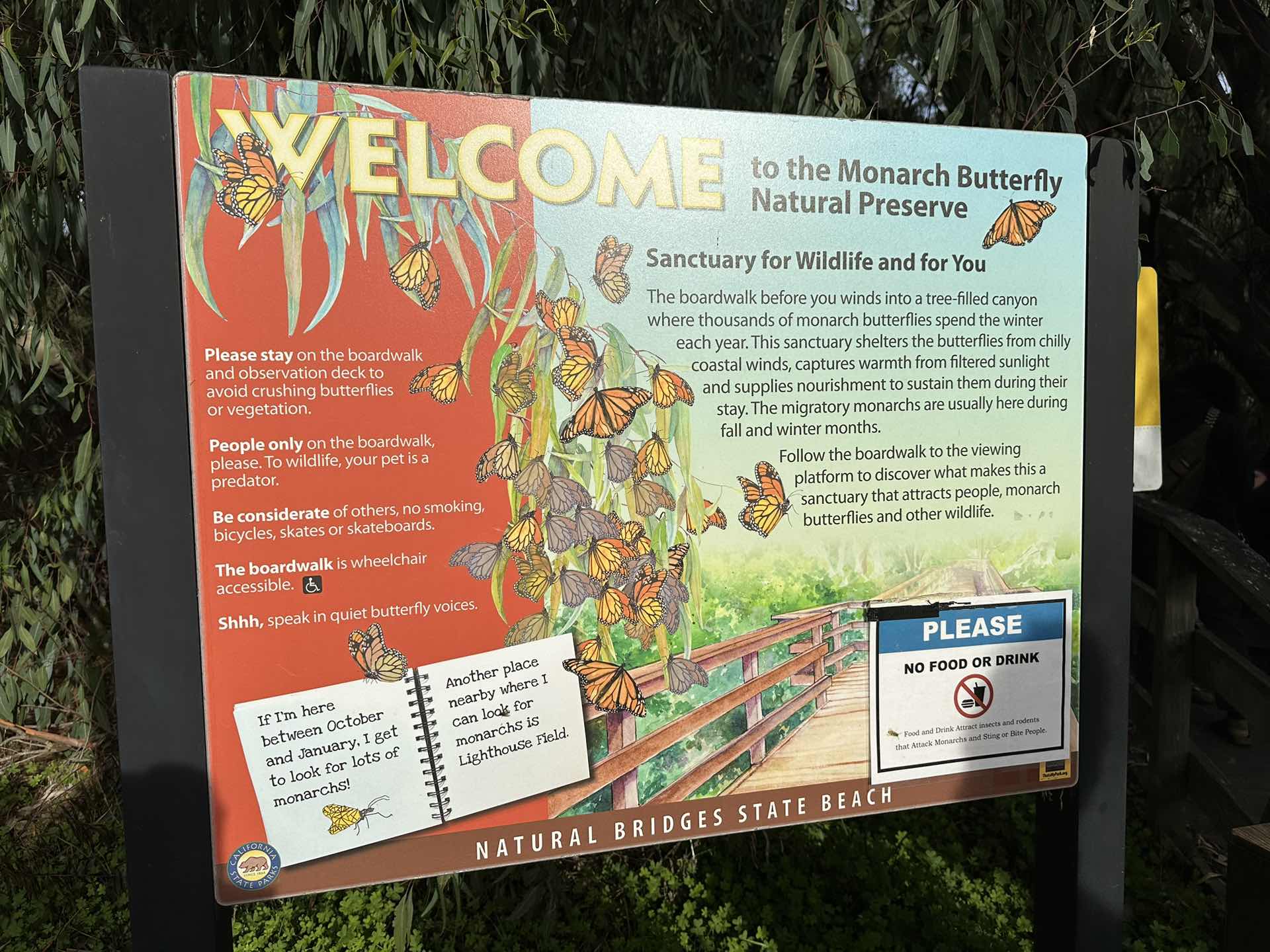 🦋 Monarch Butterfly Nature Preserve 🦋