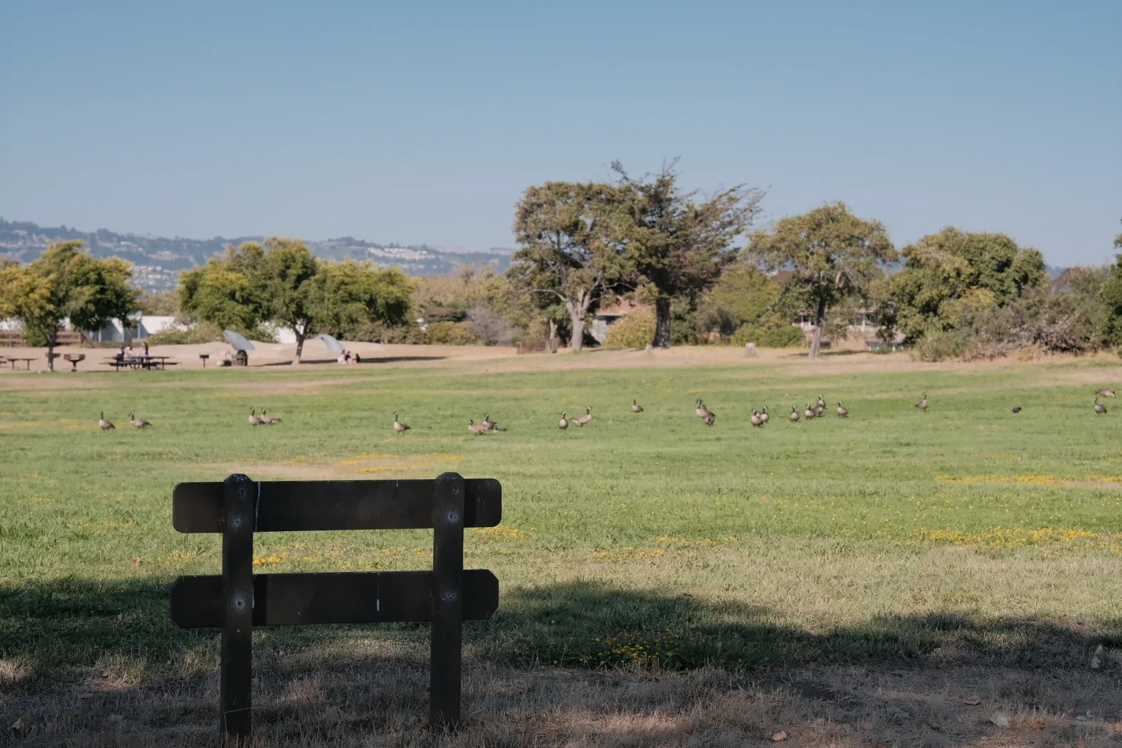Discover Hidden Wetland Hiking Trails in the Bay Area 