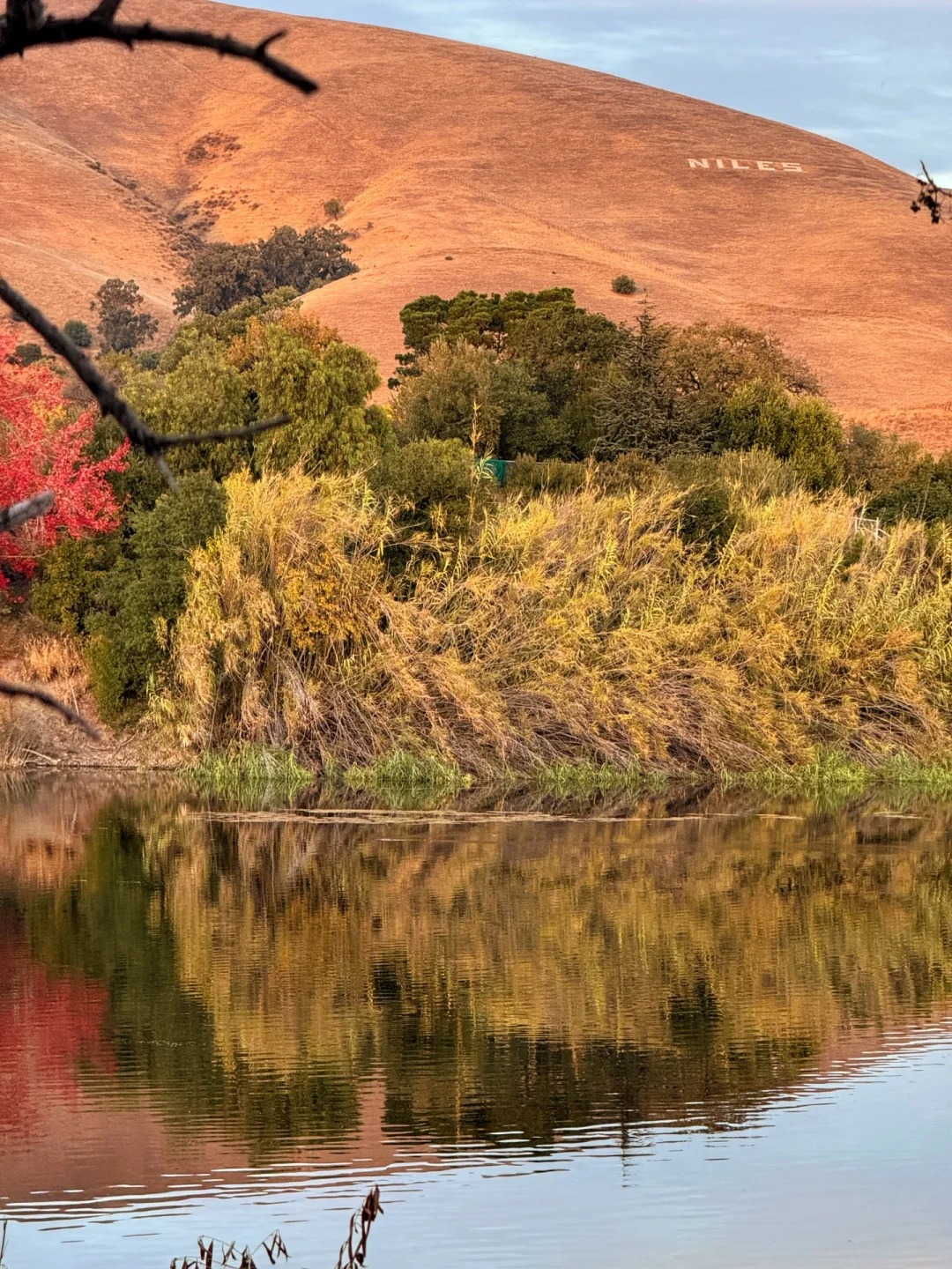 Lesser-known trail in the Bay Area that offers stunning autumn colors