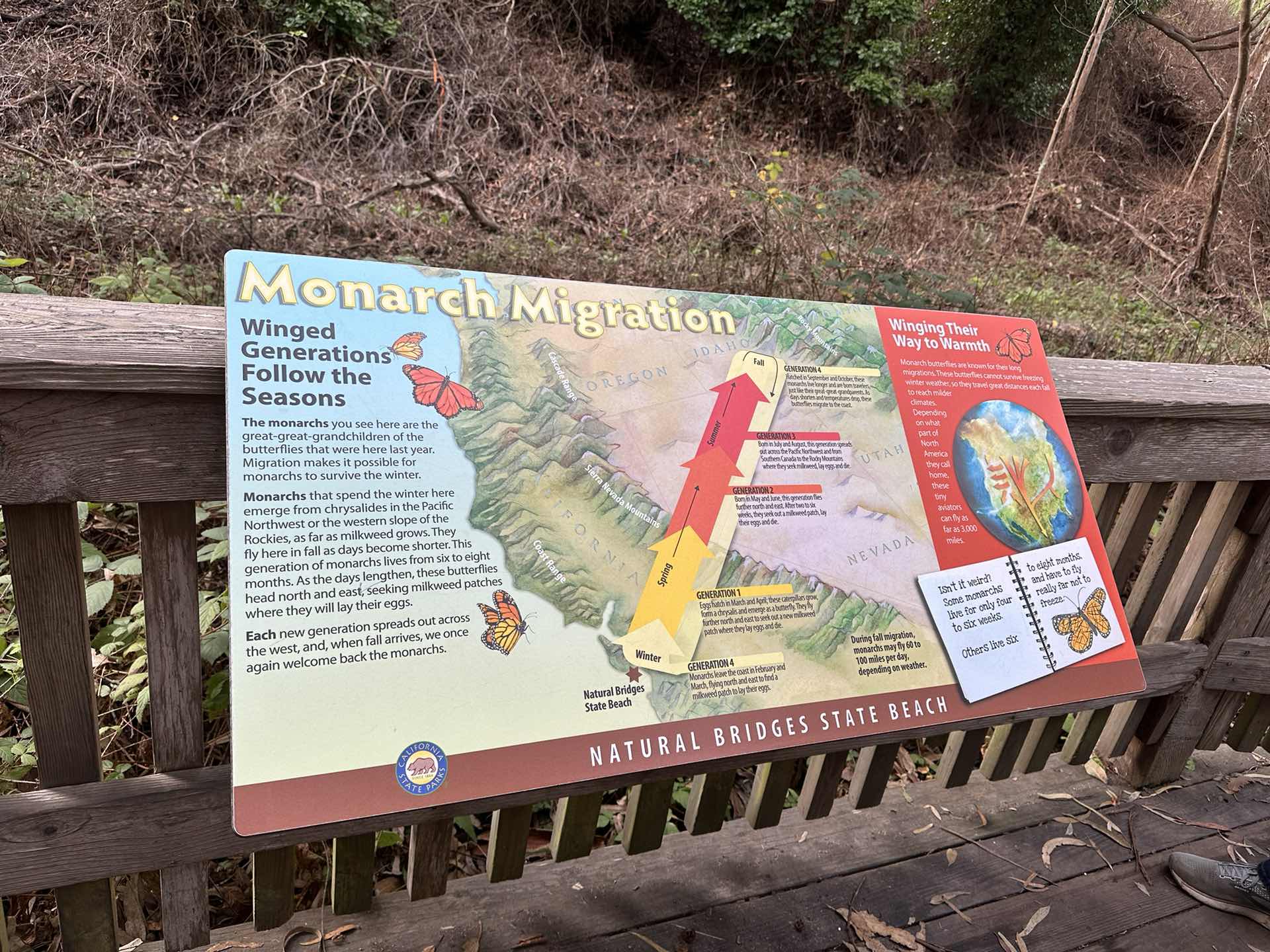 🦋 Monarch Butterfly Nature Preserve 🦋